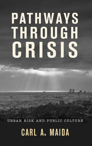 Pathways Through Crisis: Urban Risk and Public Culture,New