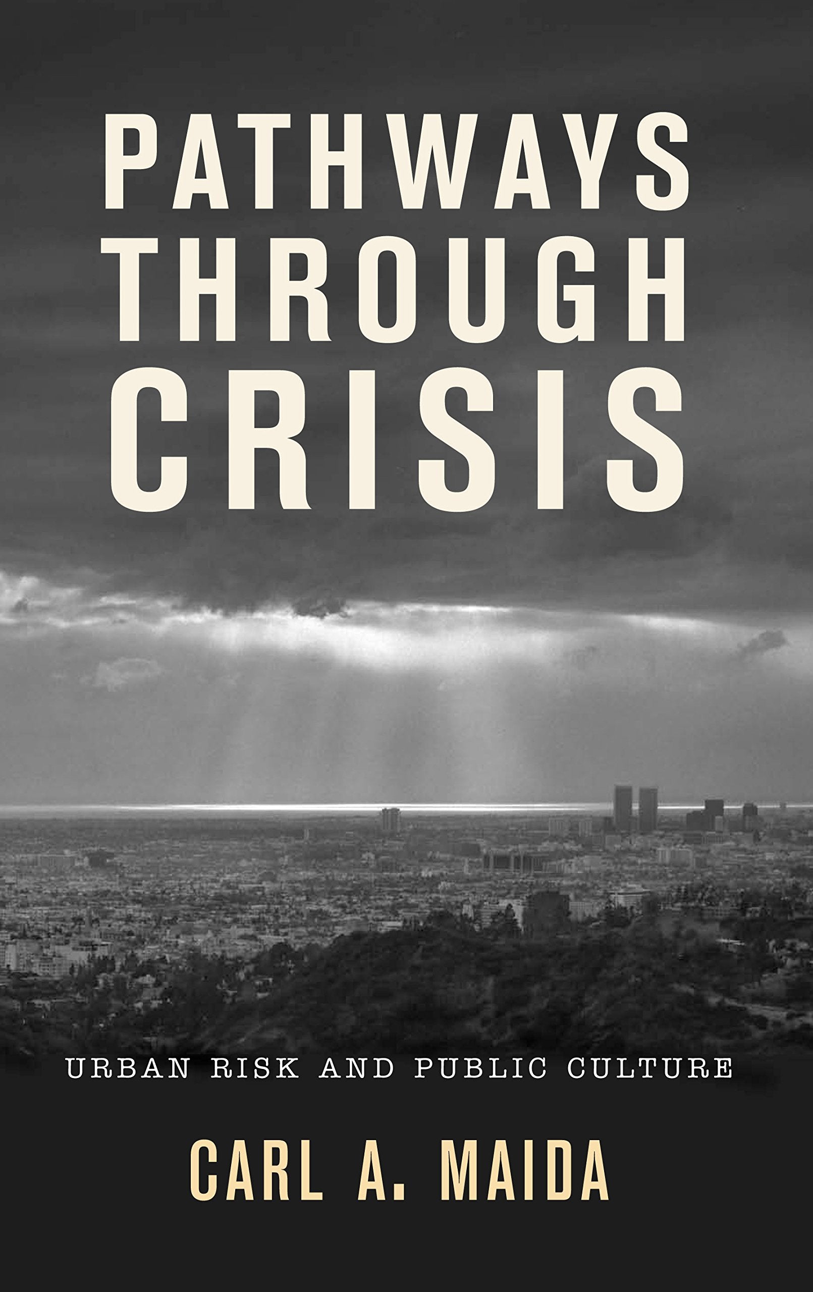 Pathways Through Crisis: Urban Risk and Public Culture,Used