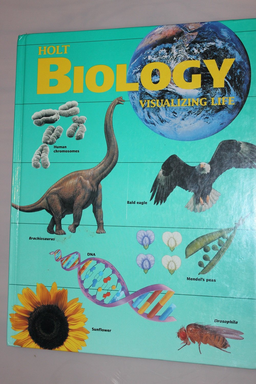 Holt Biology Visualizing Life,Used