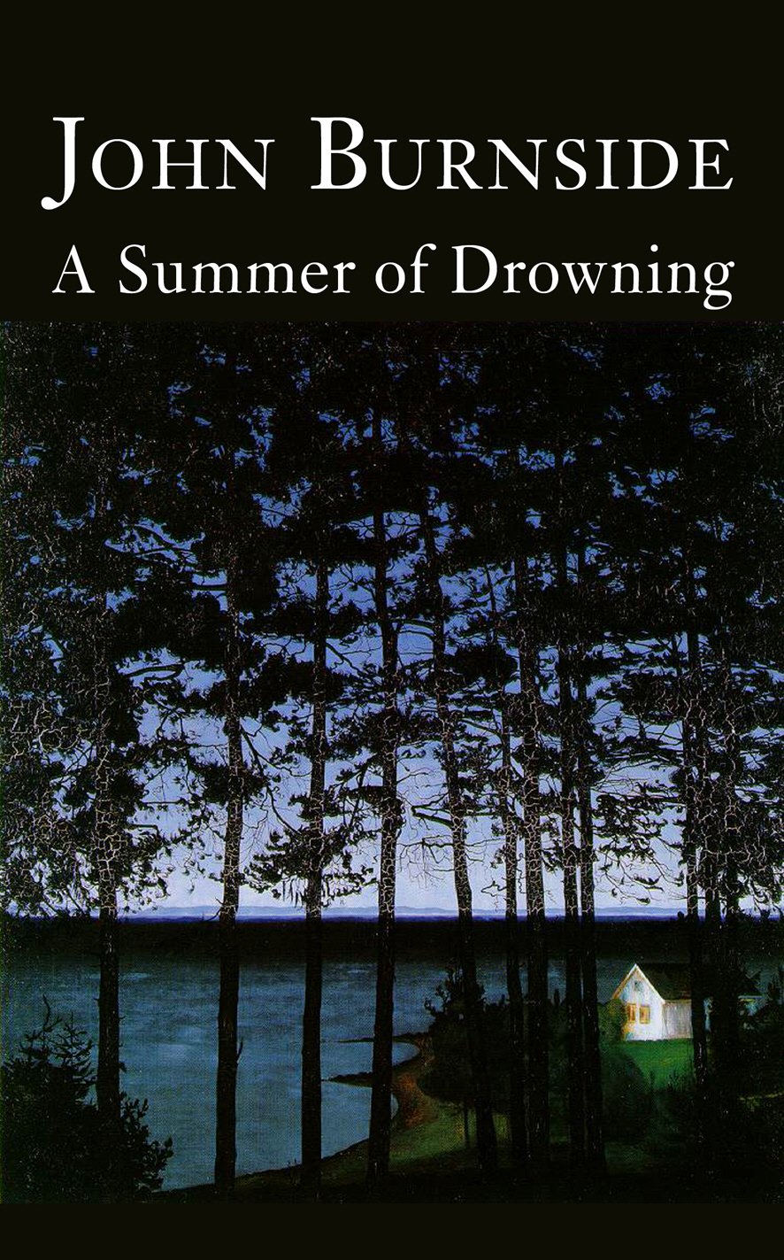 A Summer of Drowning,Used