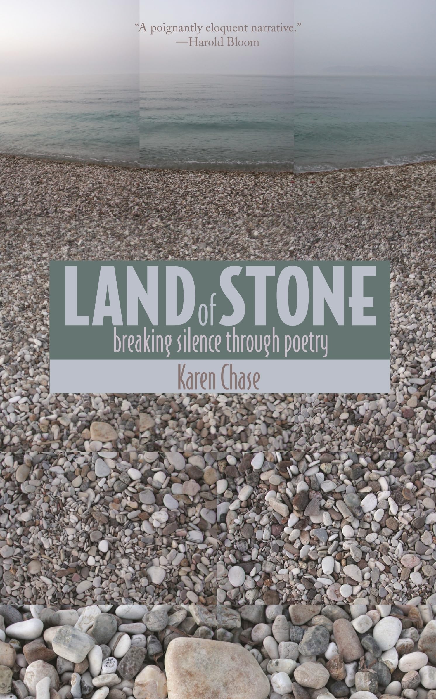 Land Of Stone: Breaking Silence Through Poetry (William Beaumont),New