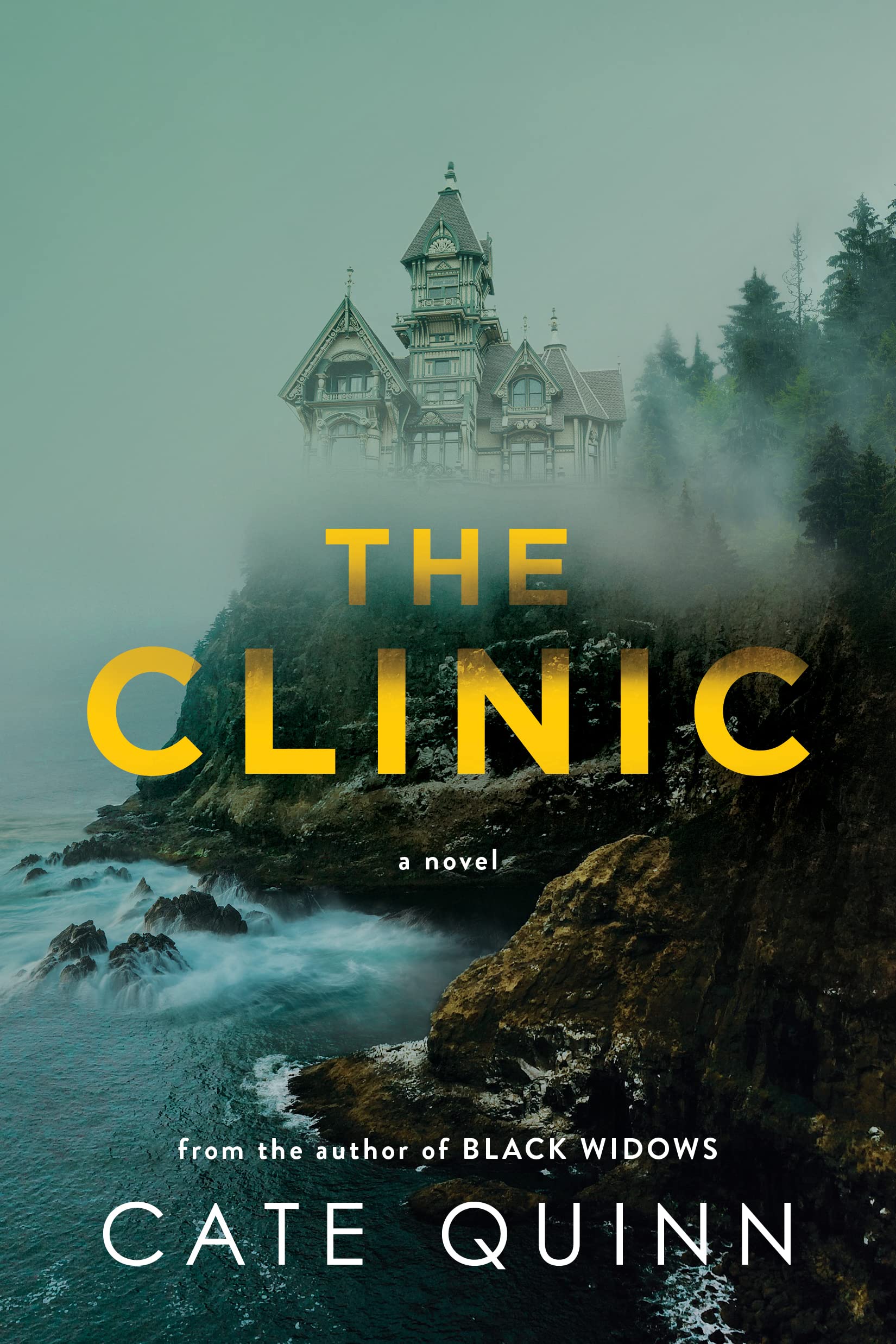 The Clinic: A Novel,New