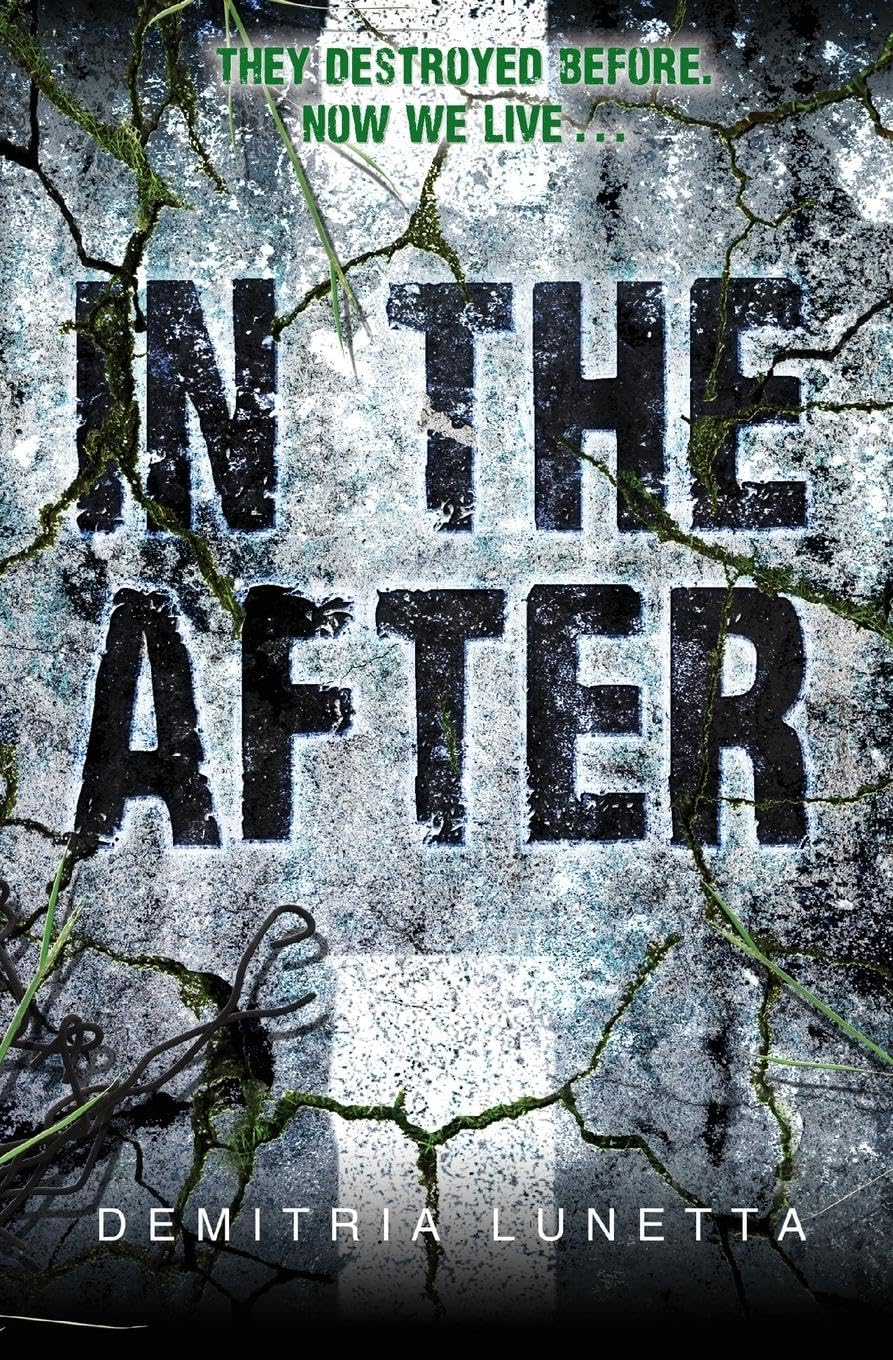 In the After (In the After, 1),Used
