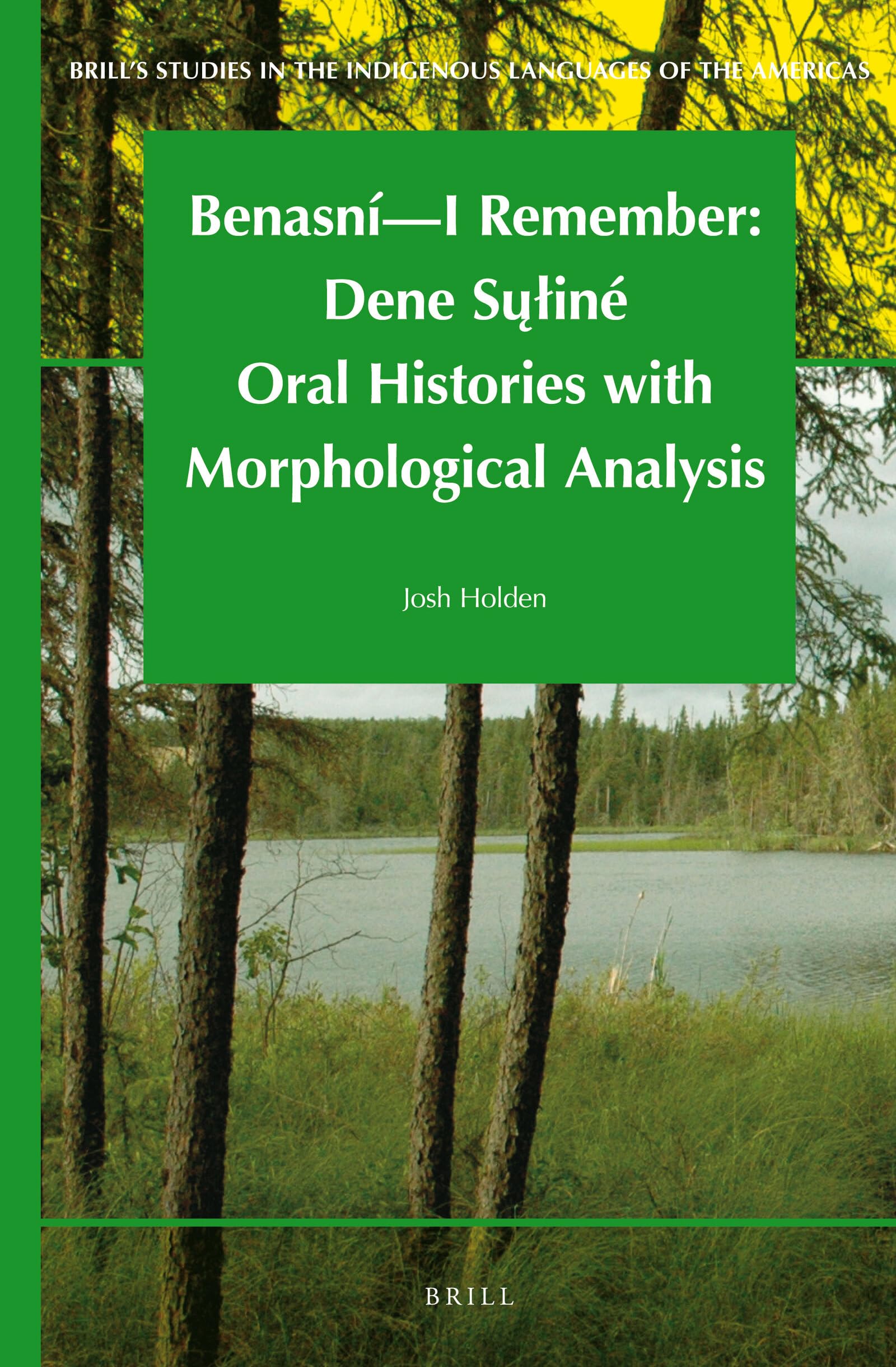 Benasn  I Remember: Dene Suin Oral Histories with Morphological Analysis (Brill's Studies in the Indigenous Languages of th,Used