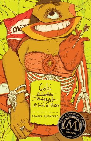 Gabi, a Girl in Pieces,Used