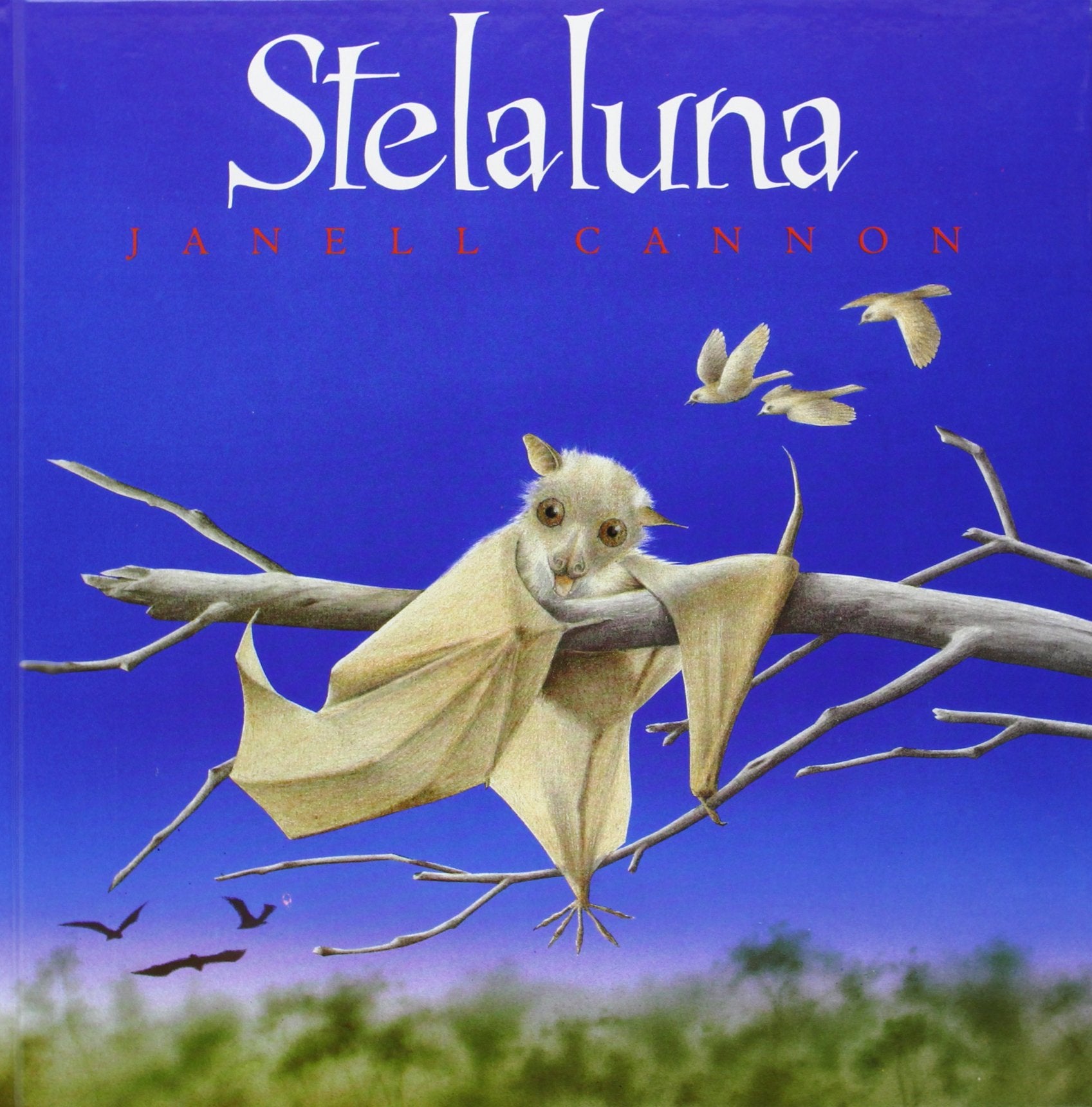 Stelaluna (Spanish Language),Used