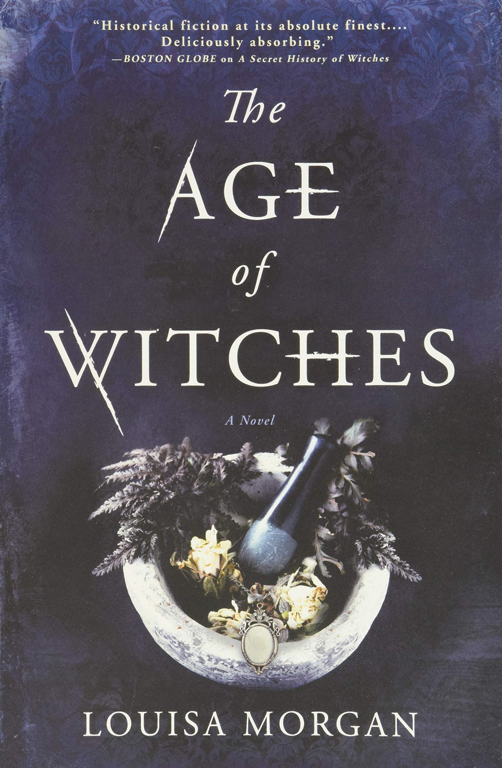 The Age of Witches: A Novel,Used