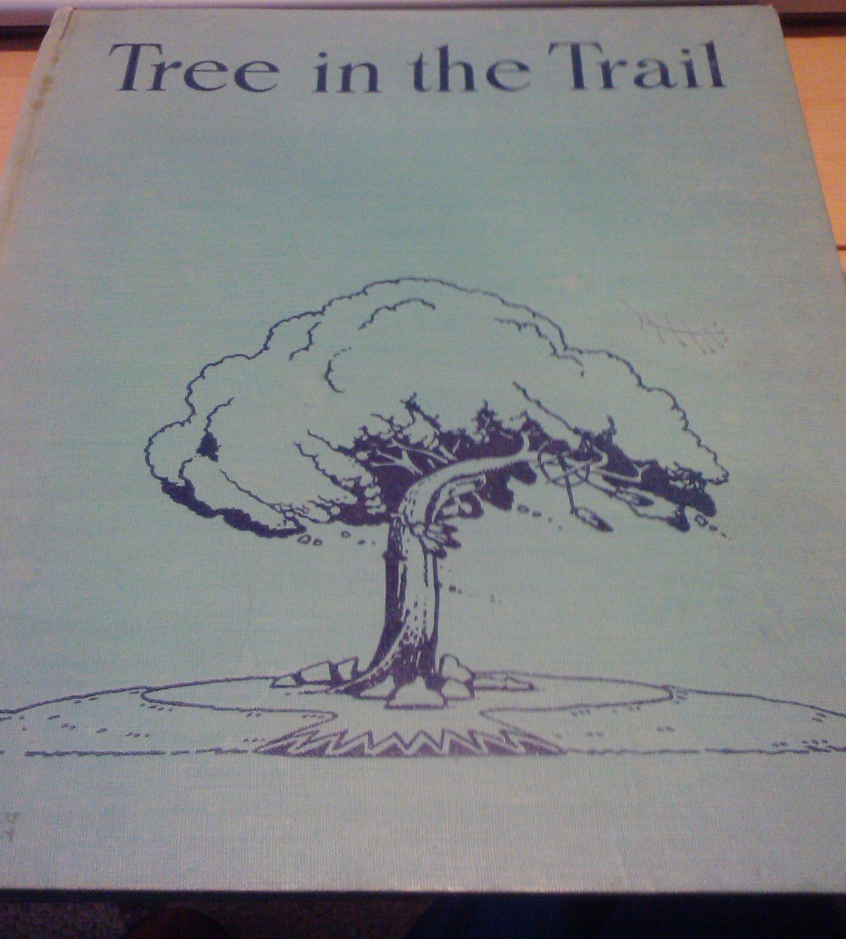 Tree in the Trail