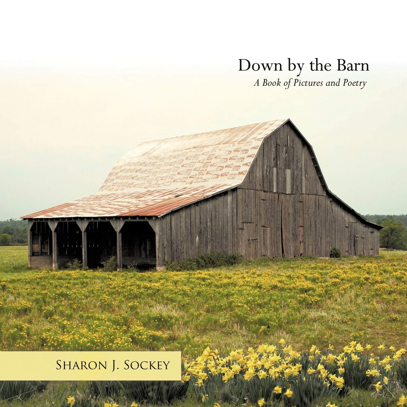 Down by the Barn: A Book of Pictures and Poetry,Used