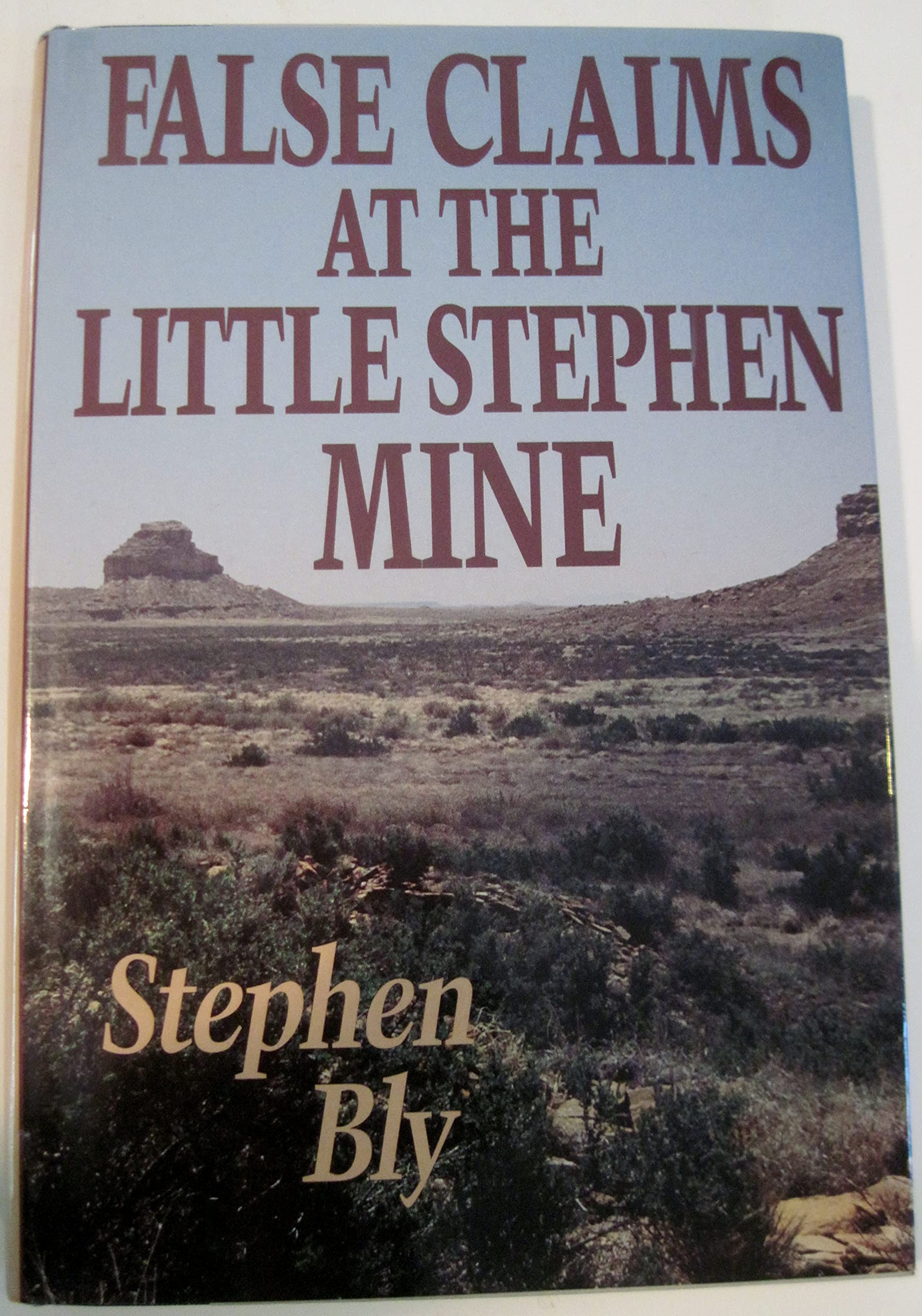 False Claims at the Little Stephen Mine (The Legend of Stuart Brannon, Book 2),Used