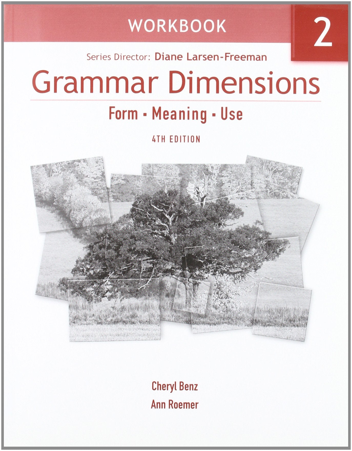 Grammar Dimensions 2 Workbook: Form, Meaning, Use,Used