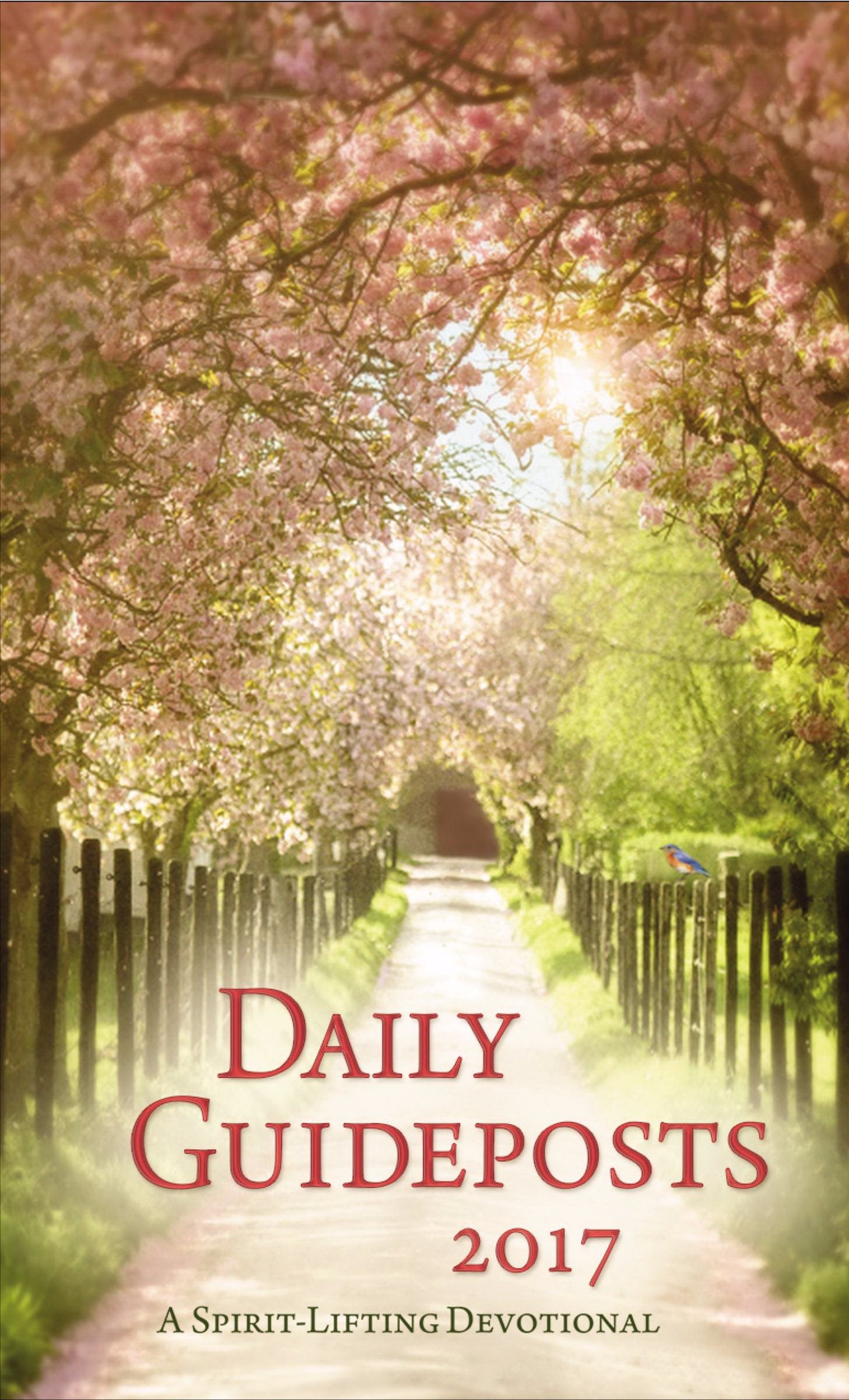 Daily Guideposts 2017: A SpiritLifting Devotional,Used