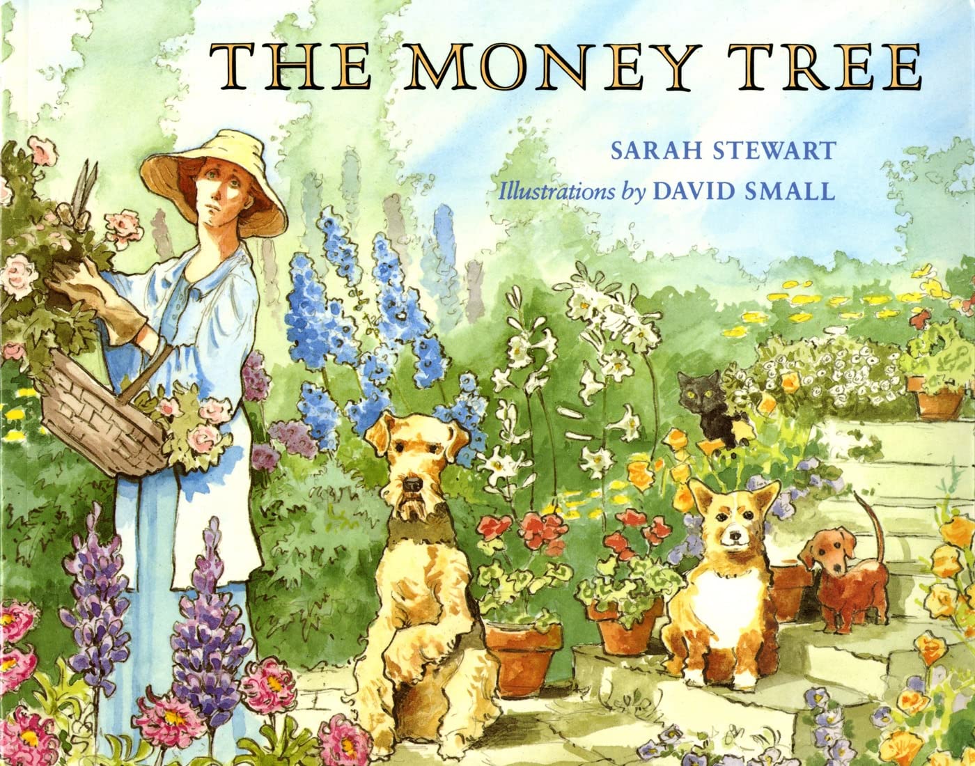 The Money Tree,Used