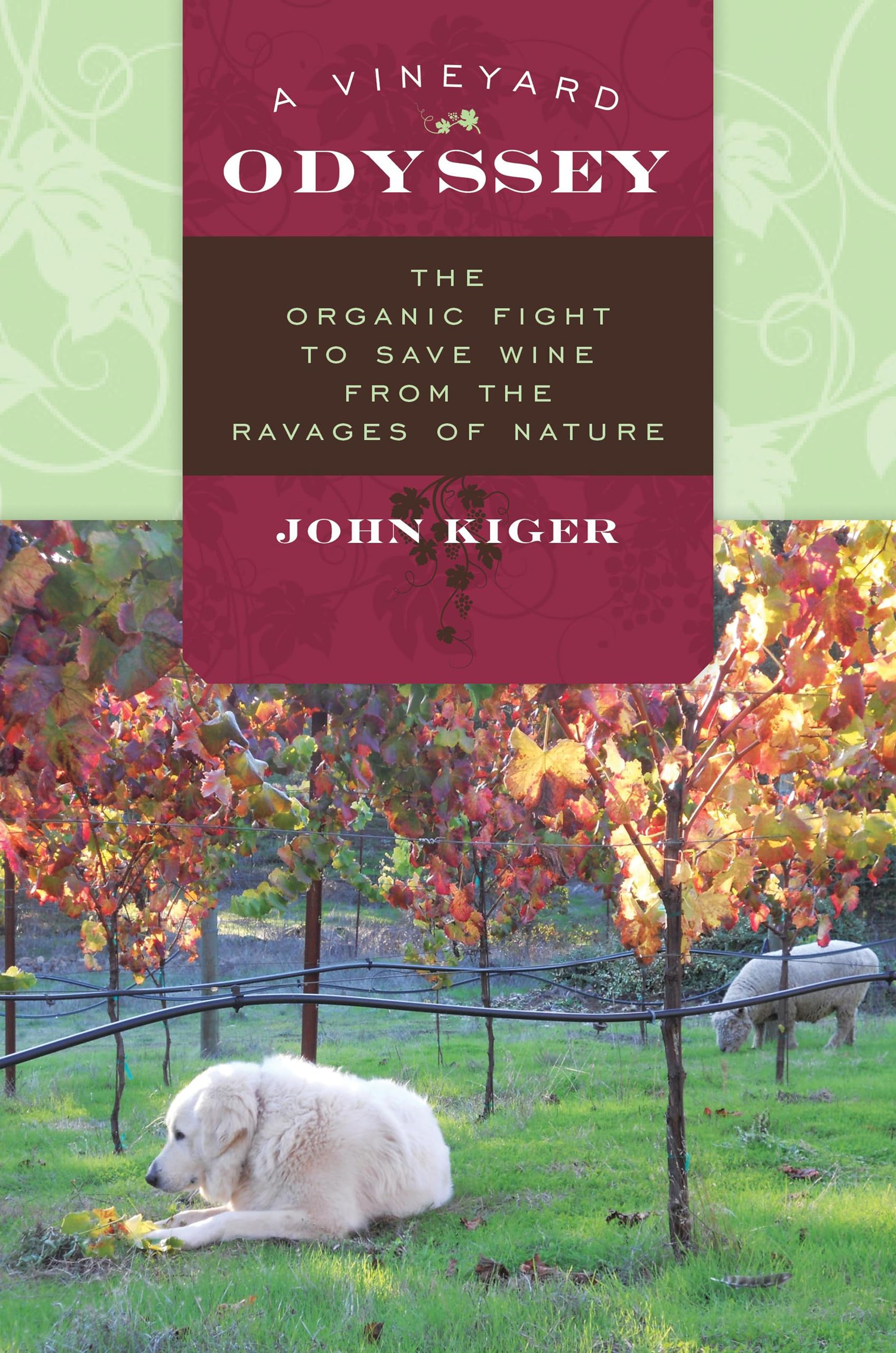 A Vineyard Odyssey: The Organic Fight to Save Wine from the Ravages of Nature,Used