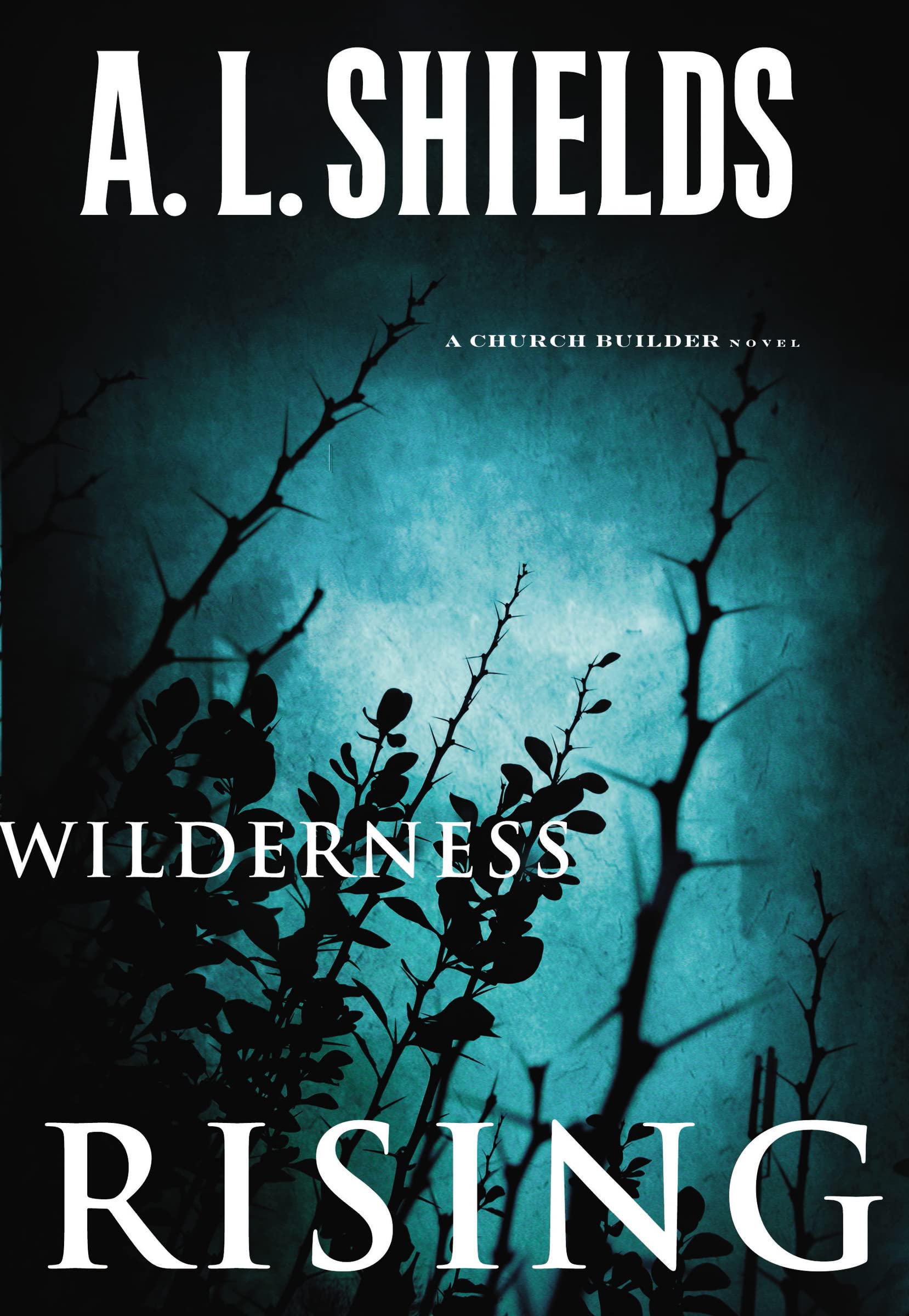 Wilderness Rising (A Church Builder Novel),Used
