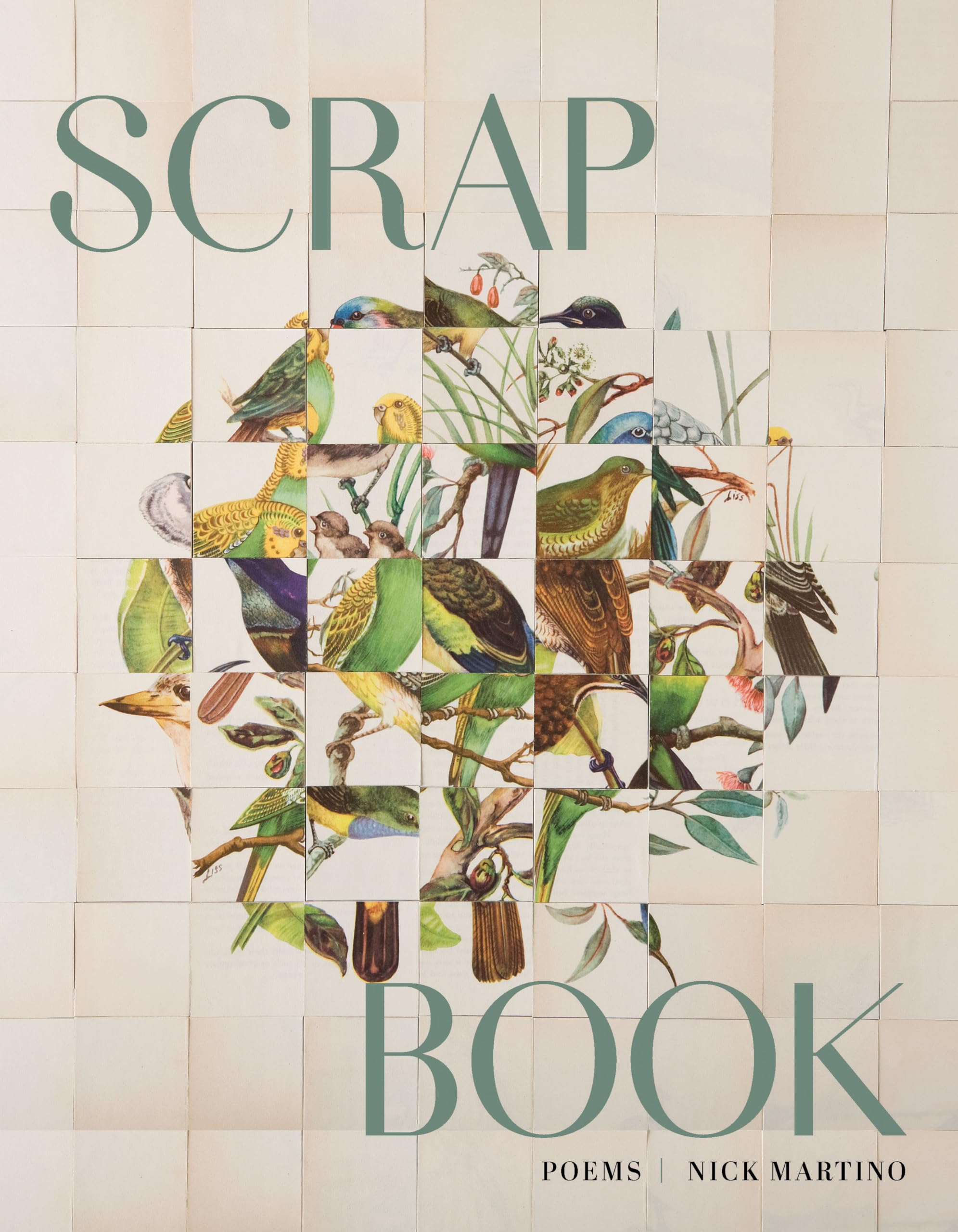 Scrap Book (Alice James Award  EditorS Choice)