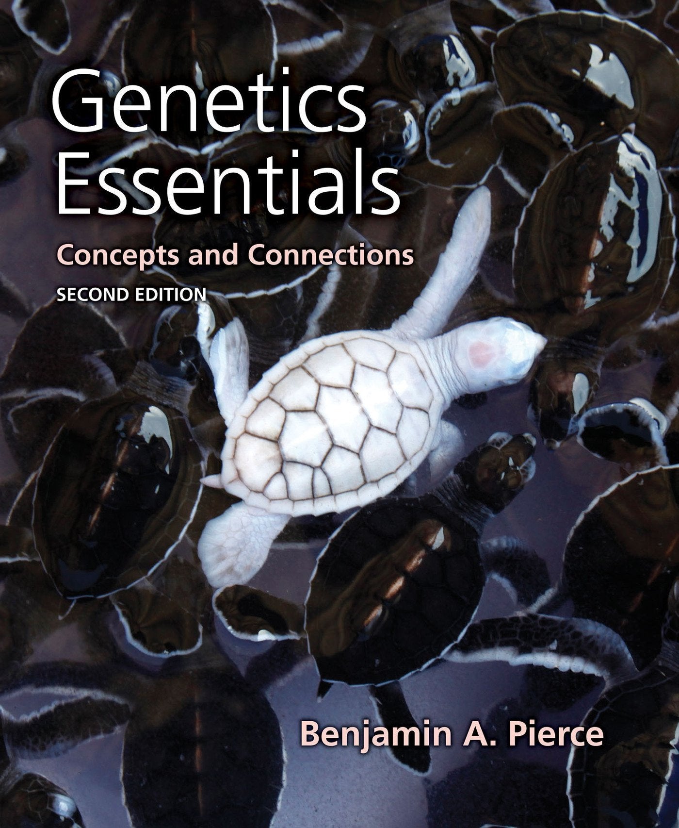 Genetics Essentials: Concepts and Connections,New