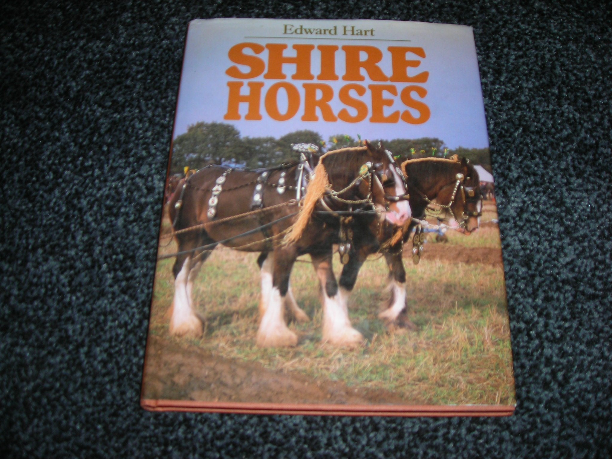 Shire Horses,Used