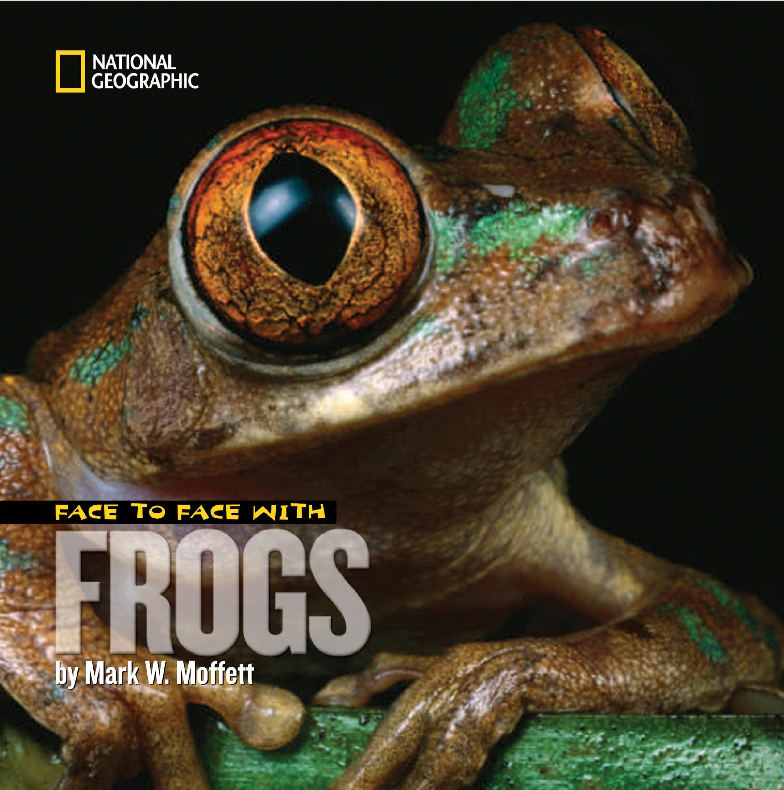 Face to Face with Frogs (Face to Face with Animals),Used