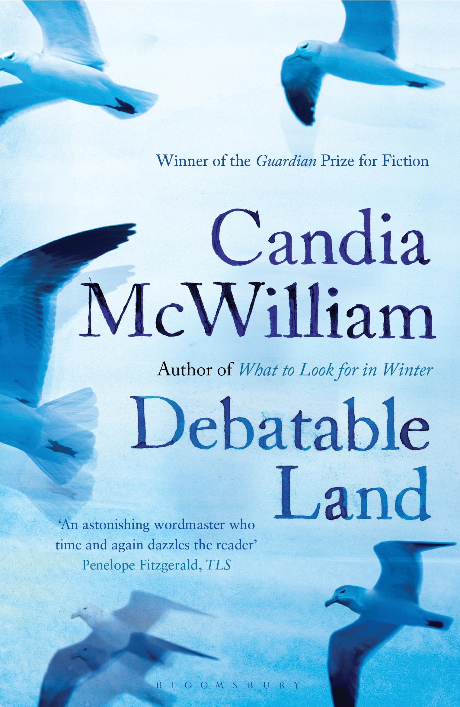 Debatable Land,Used