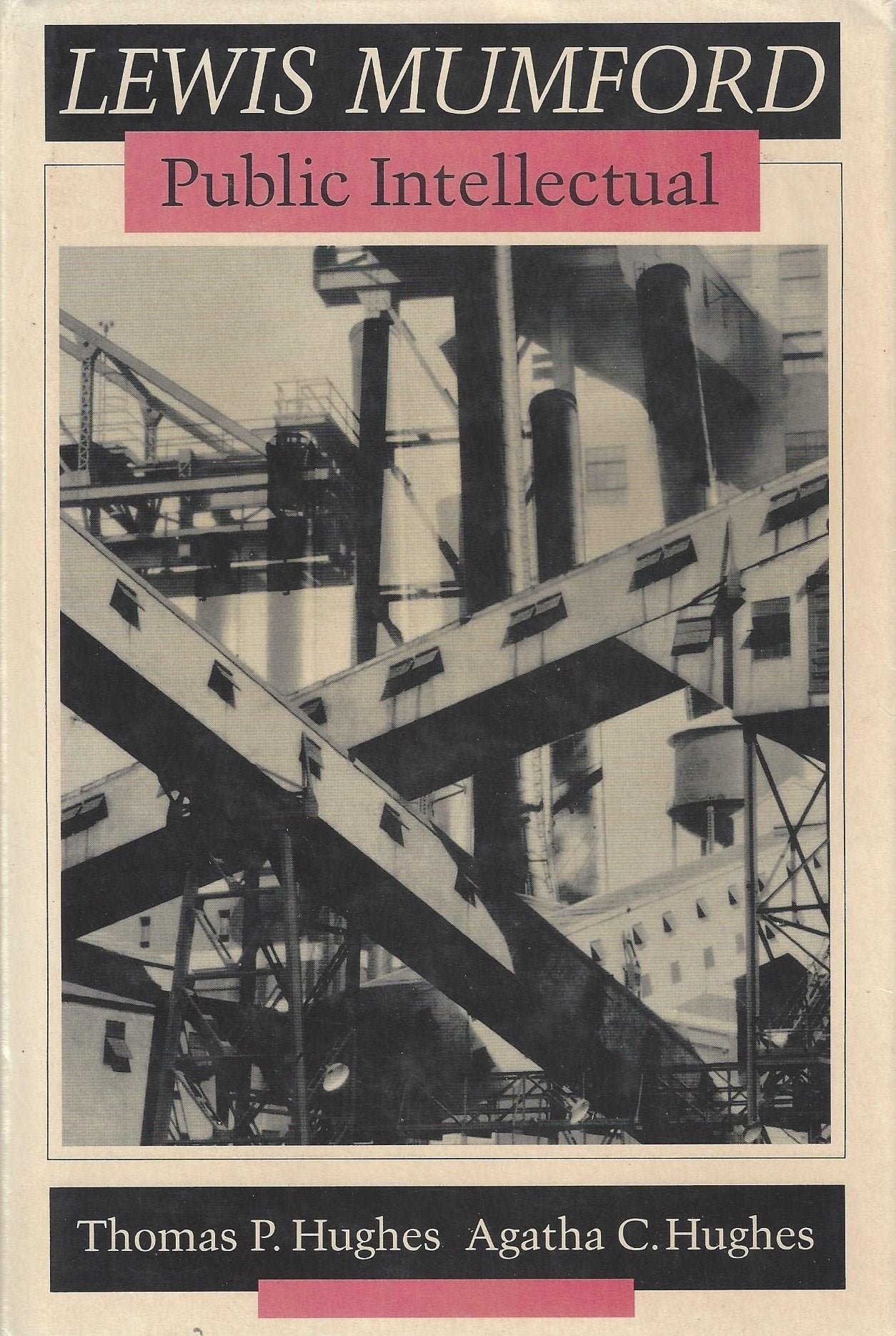 Lewis Mumford: Public Intellectual,Used