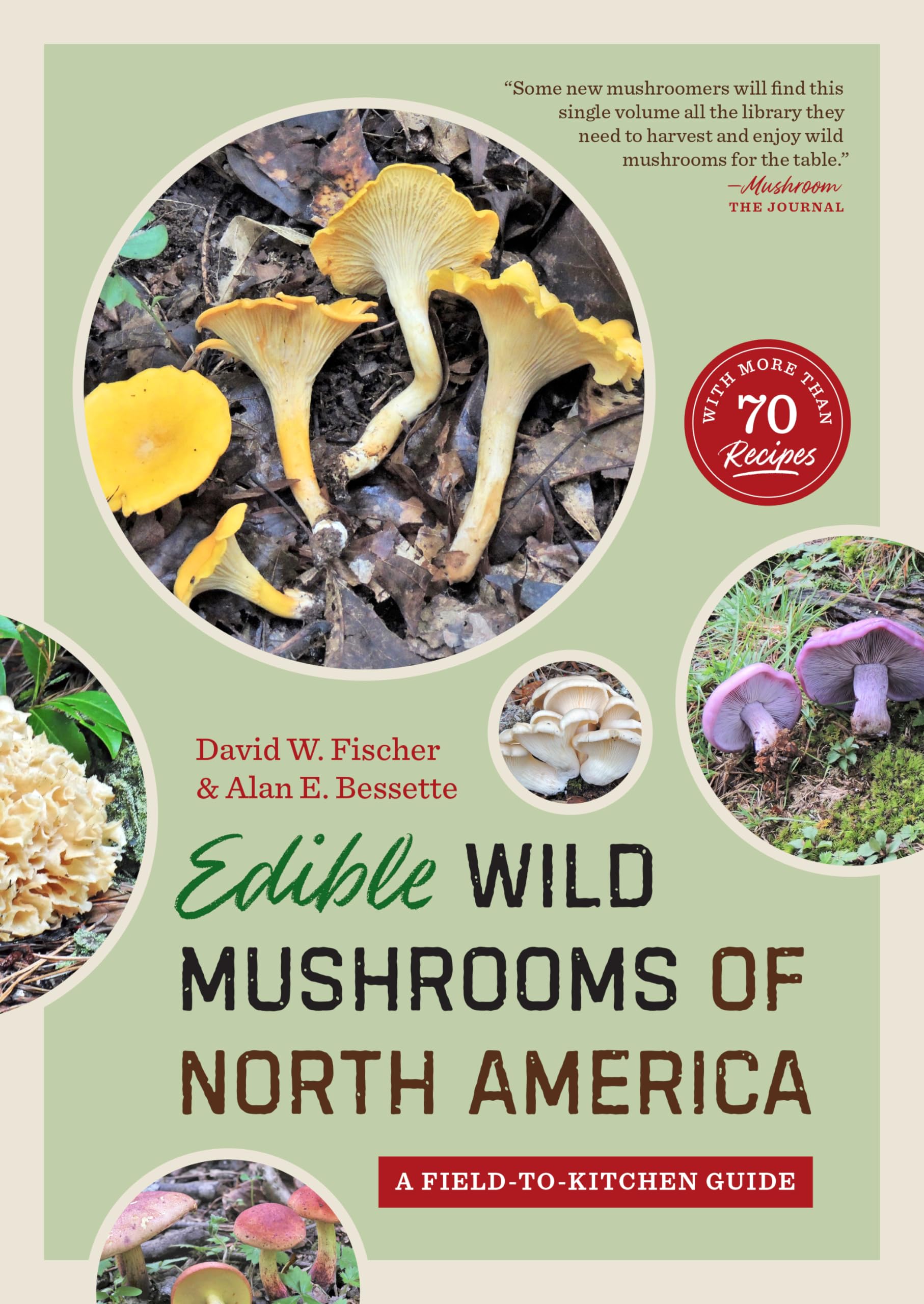 Edible Wild Mushrooms of North America: A Fieldtokitchen Guide,New