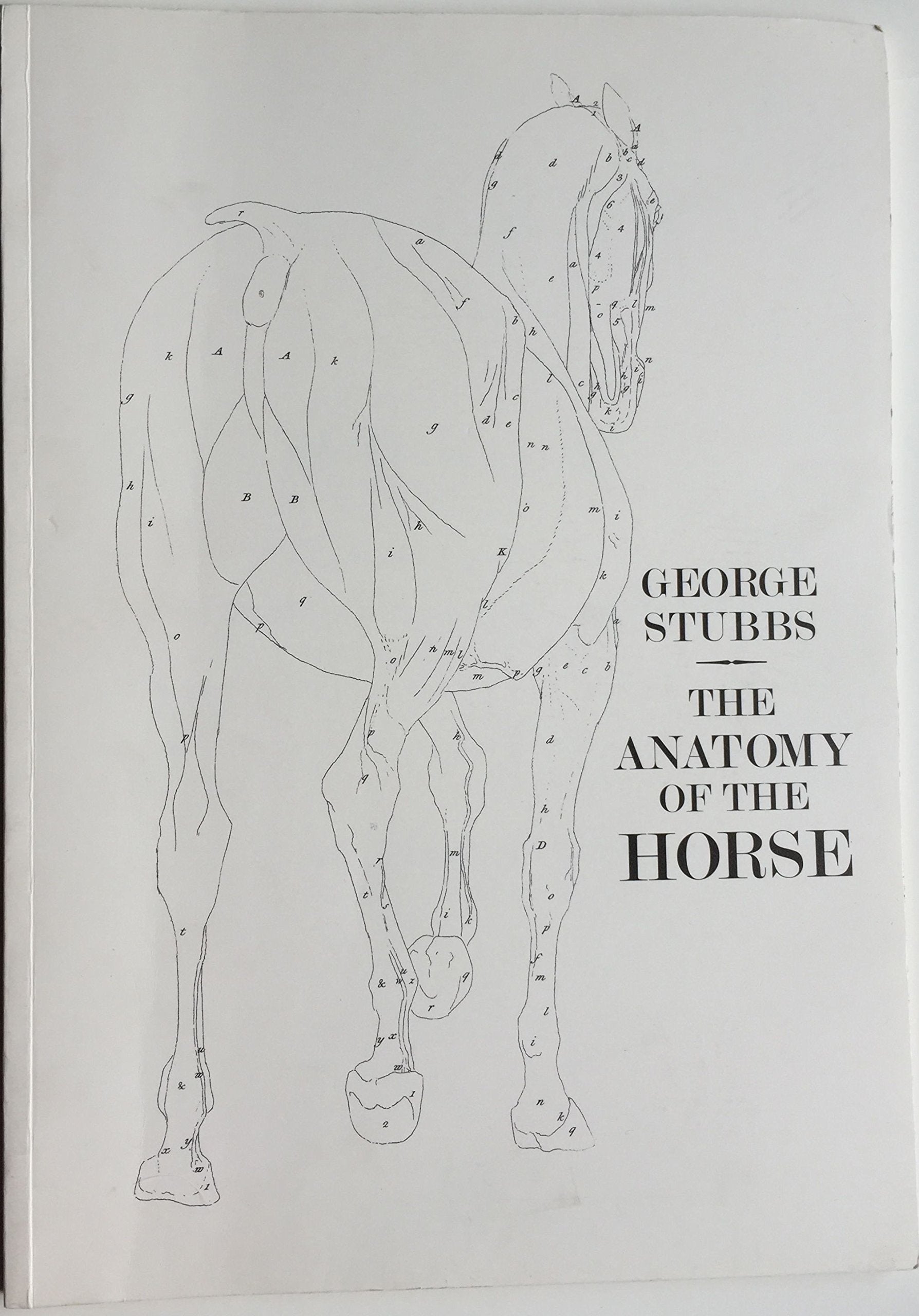 The Anatomy of the Horse,Used