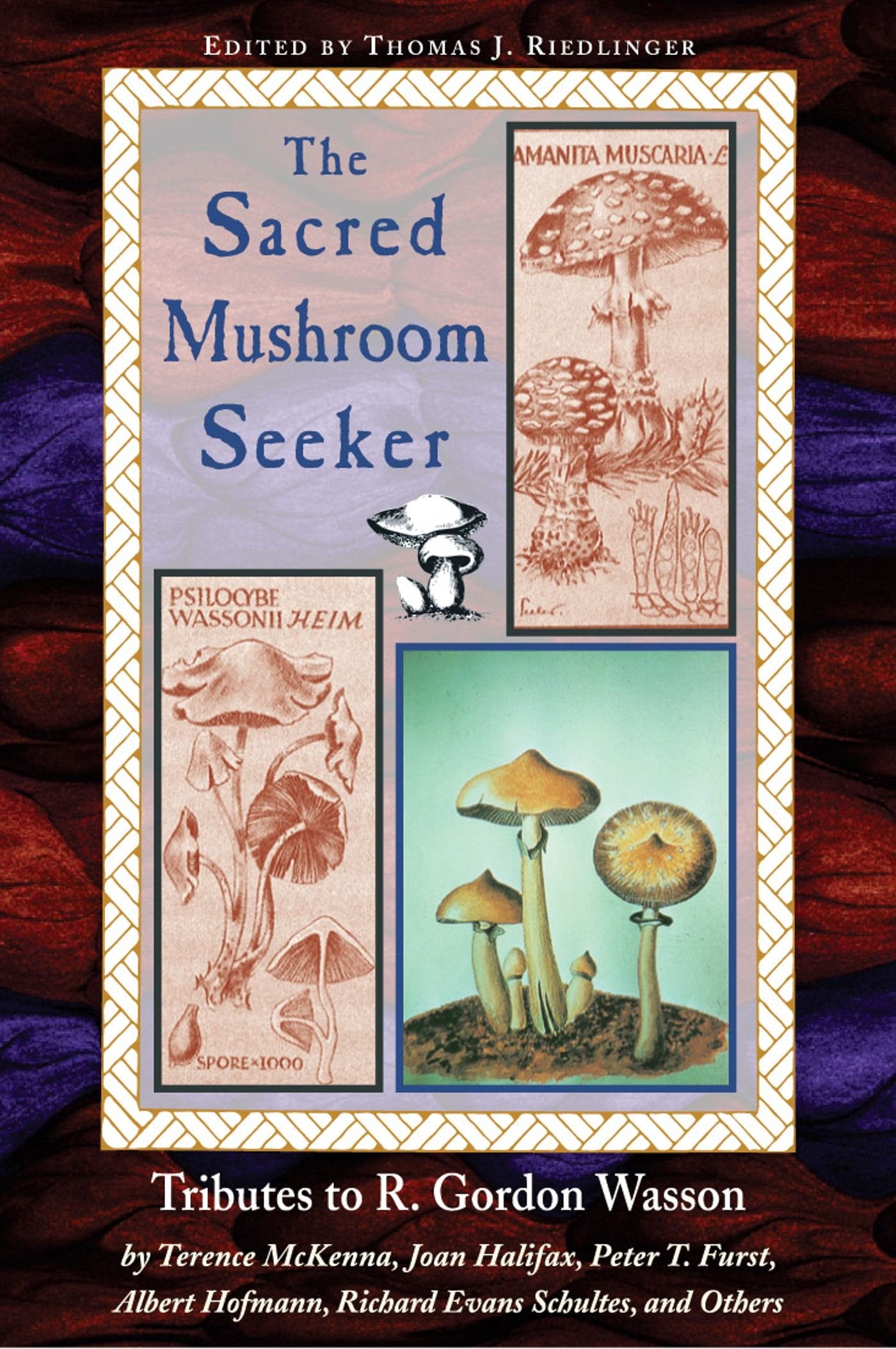 Sacred Mushroom Seeker : Tributes to R. Gordon Wasson,Used
