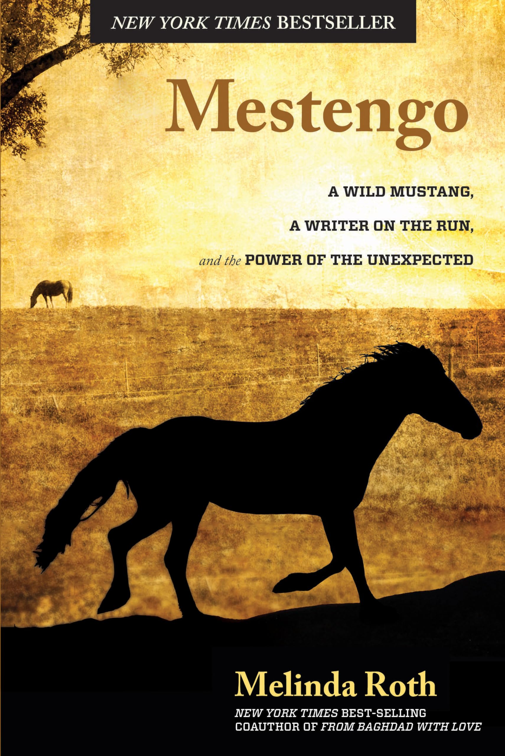 Mestengo: A Wild Mustang, A Writer On The Run, And The Power Of The Unexpected,Used