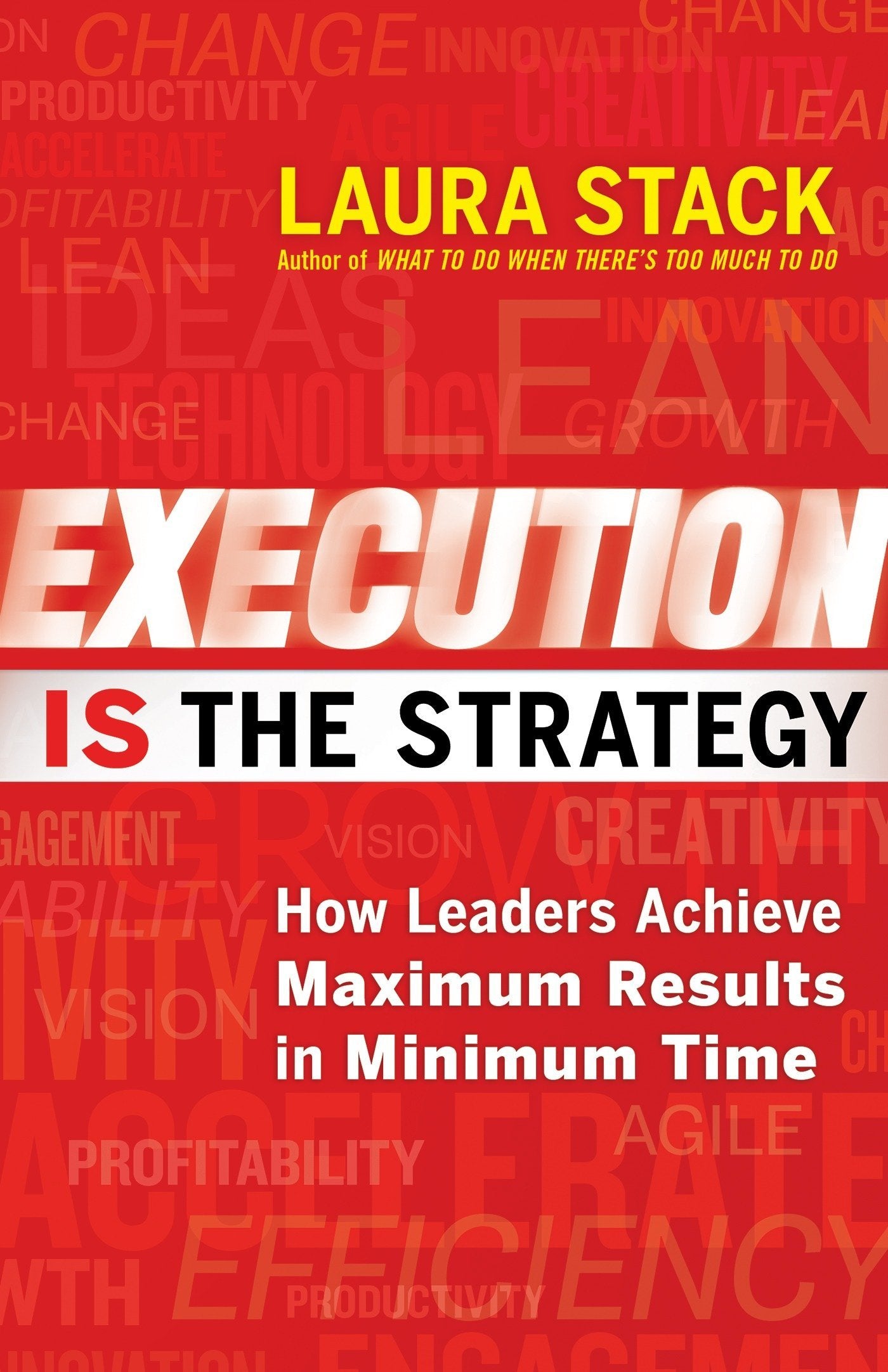Execution IS the Strategy: How Leaders Achieve Maximum Results in Minimum Time,Used