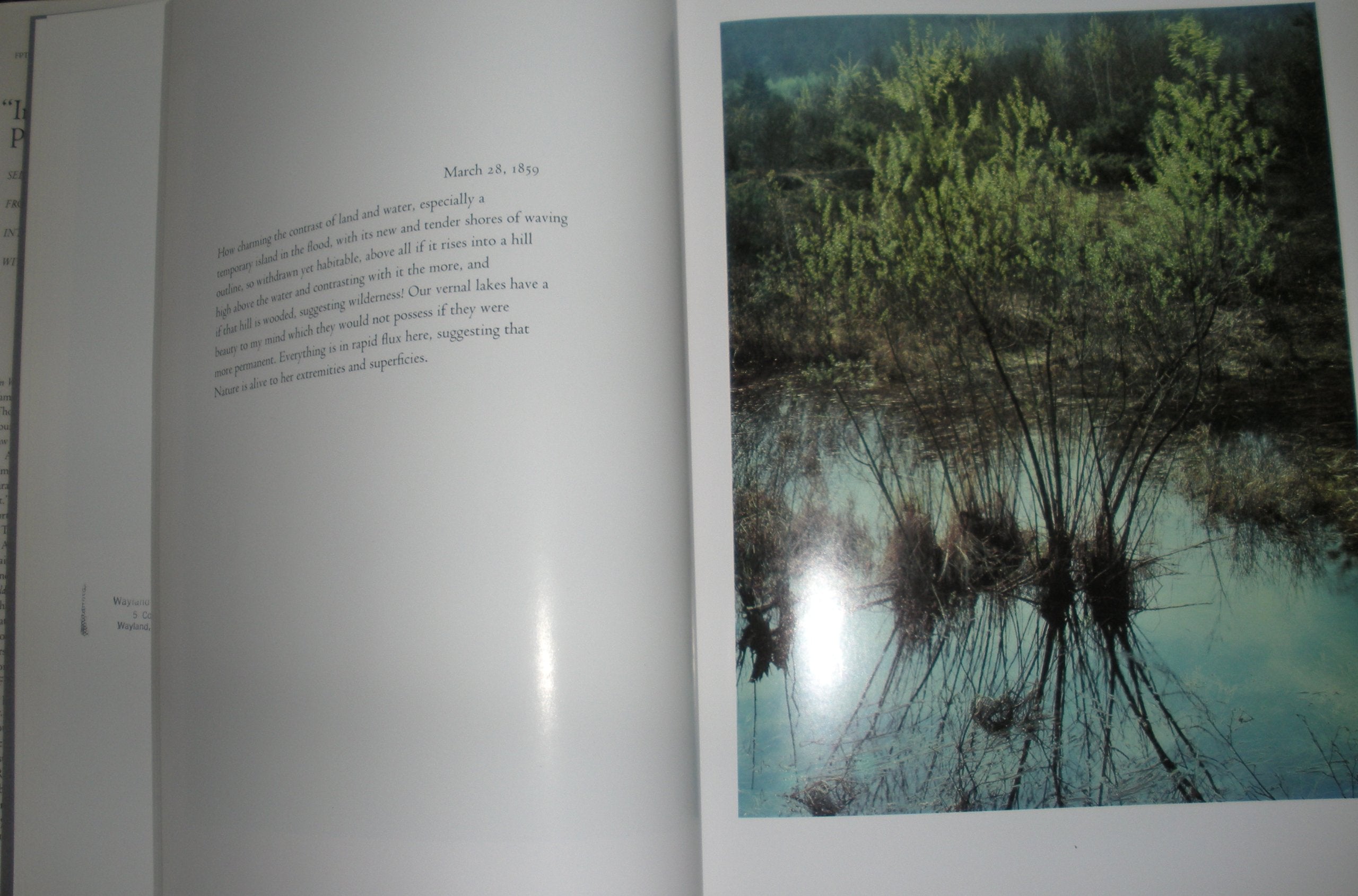 In Wildness is the Preservation of the World,Used