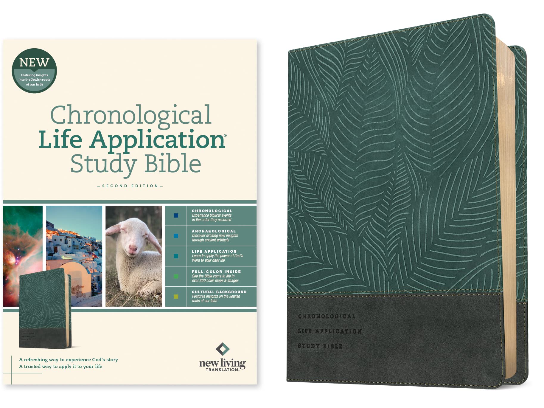 Nlt Chronological Life Application Study Bible, Second Edition (Leatherlike, Palm Forest Teal)