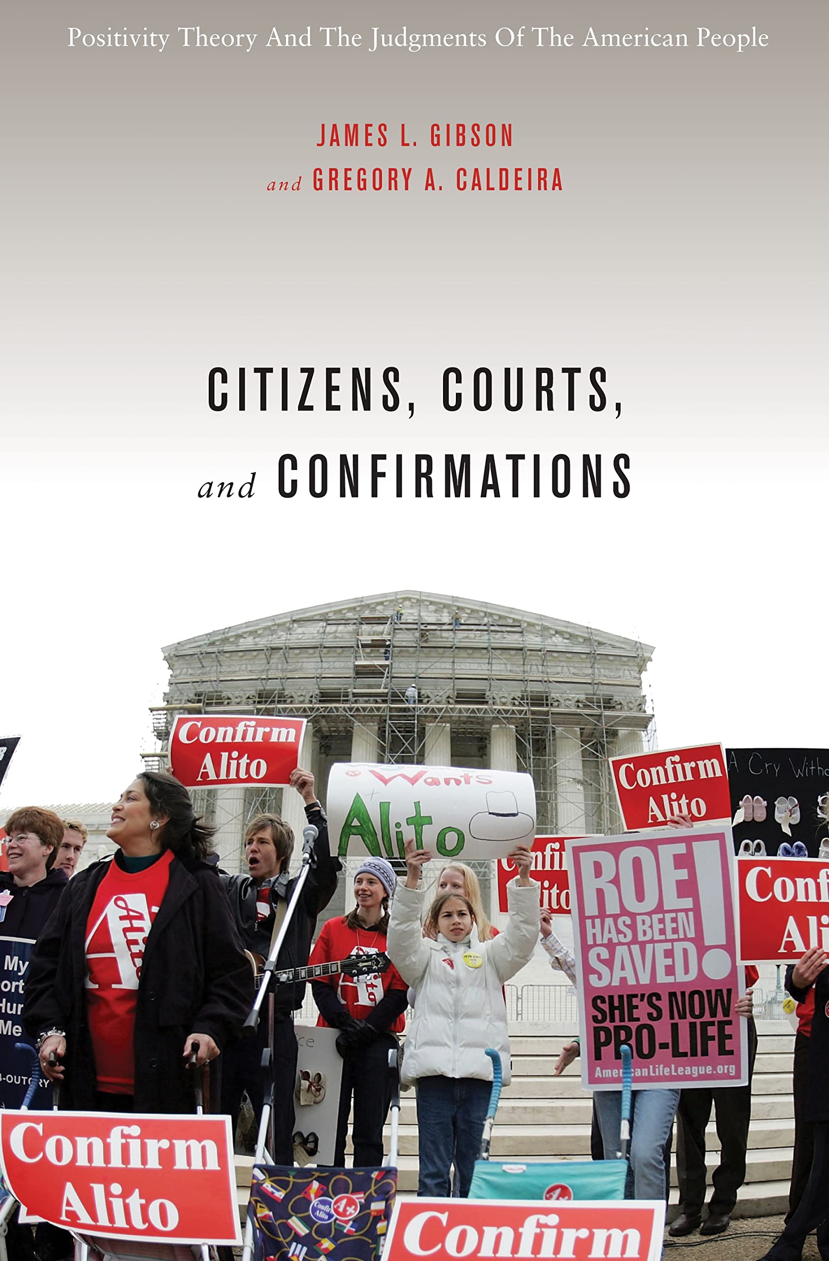 Citizens, Courts, and Confirmations: Positivity Theory and the Judgments of the American People,Used