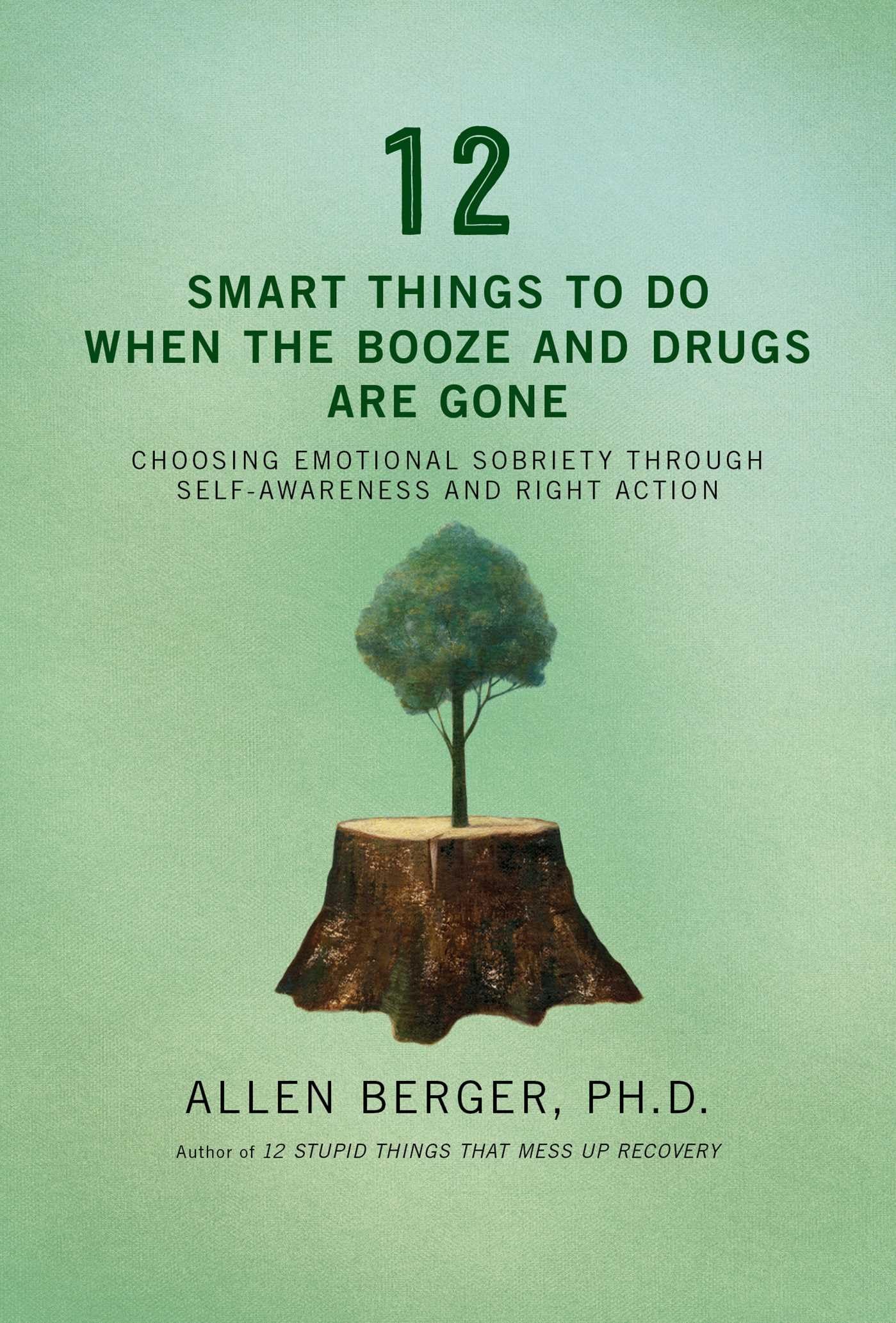 12 Smart Things To Do When The Booze And Drugs Are Gone: Choosing Emotional Sobriety Through Selfawareness And Right Action (Be,New