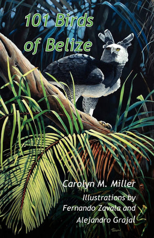 101 Birds of Belize,Used