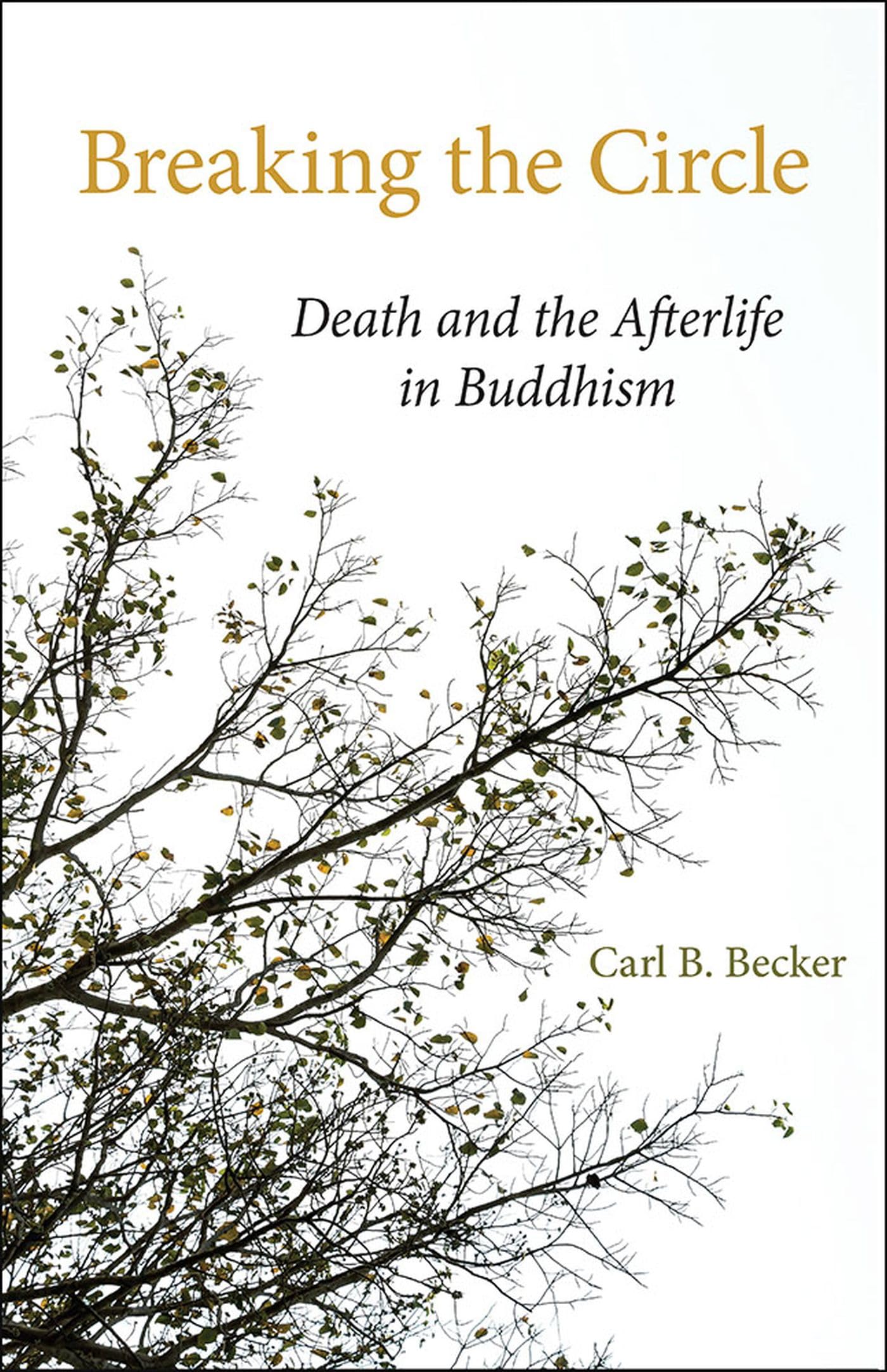 Breaking The Circle: Death And The Afterlife In Buddhism,Used
