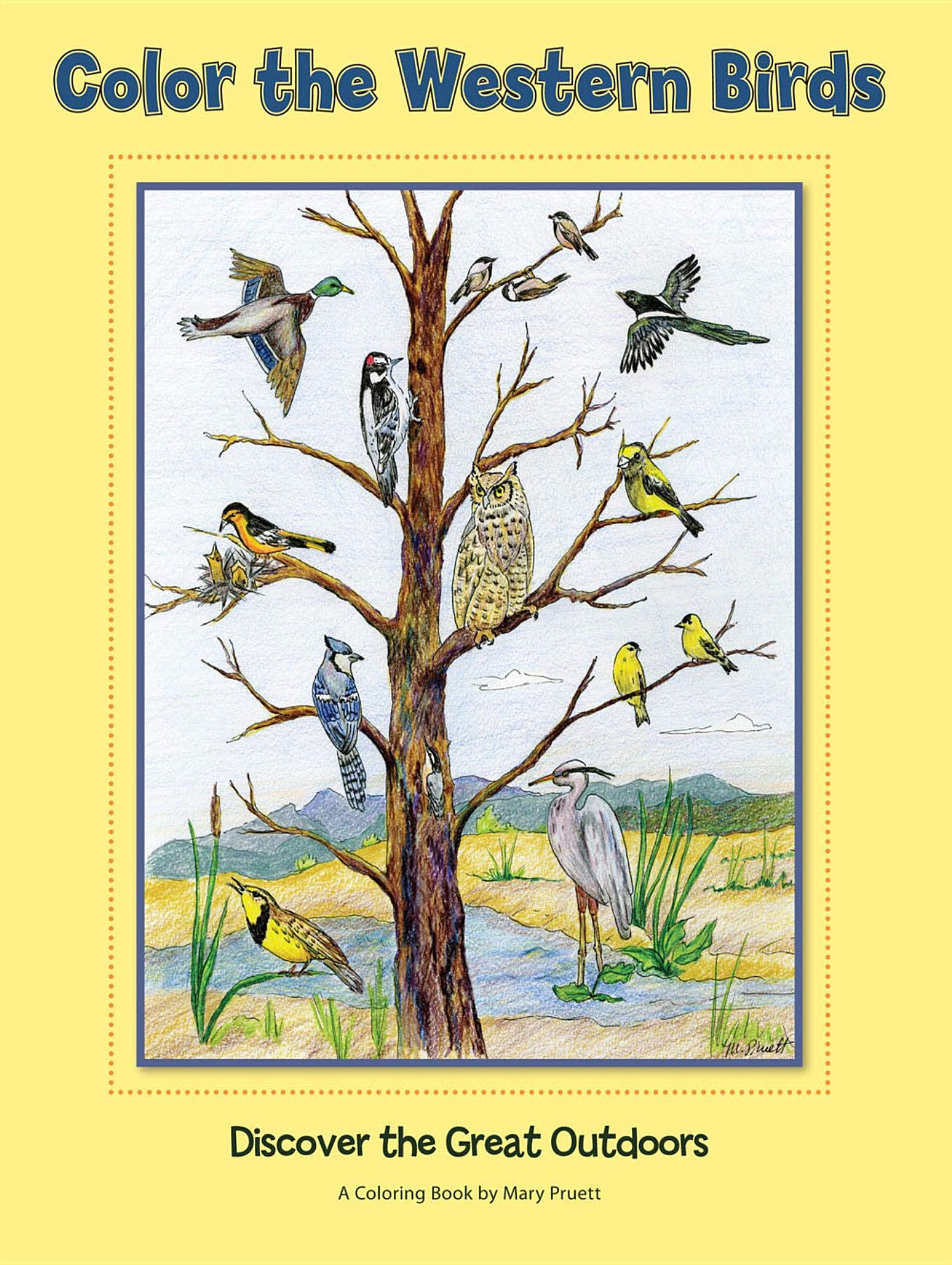 Color The Western Birds: Discover The Great Outdoors (The Pruett Series),Used