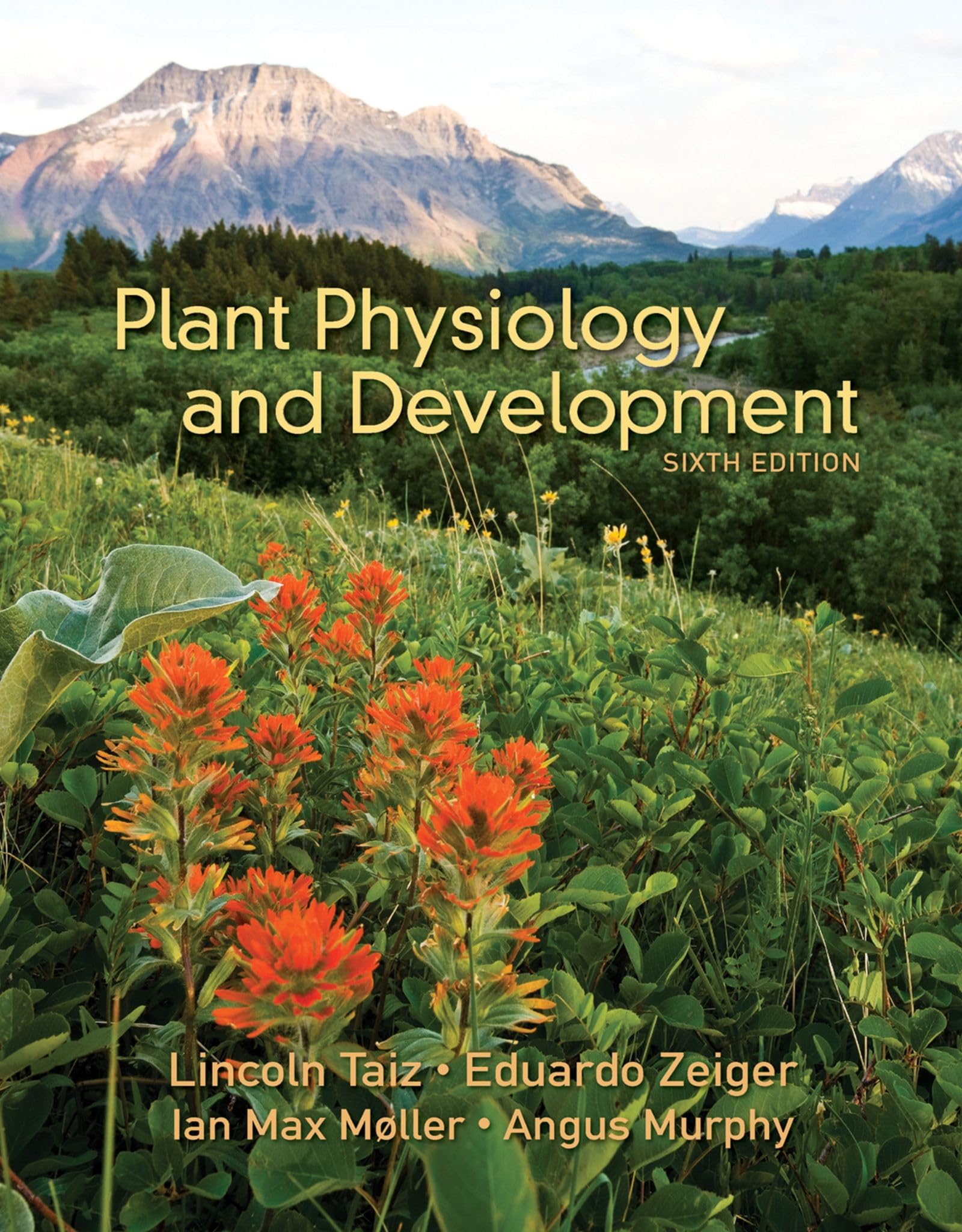 Plant Physiology & Development,Used