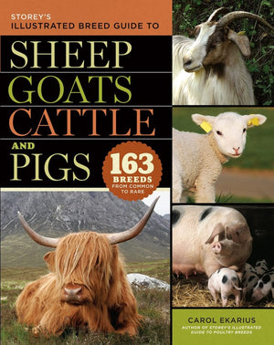 Storeys Illustrated Breed Guide to Sheep, Goats, Cattle and Pigs: 163 Breeds from Common to Rare