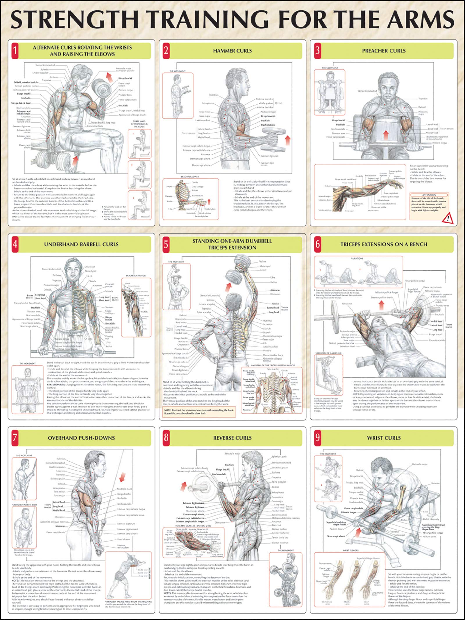 Strength Training for the Arms,Used