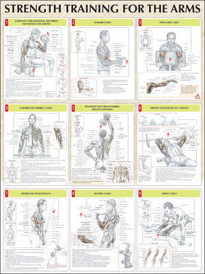 Strength Training for the Arms,Used