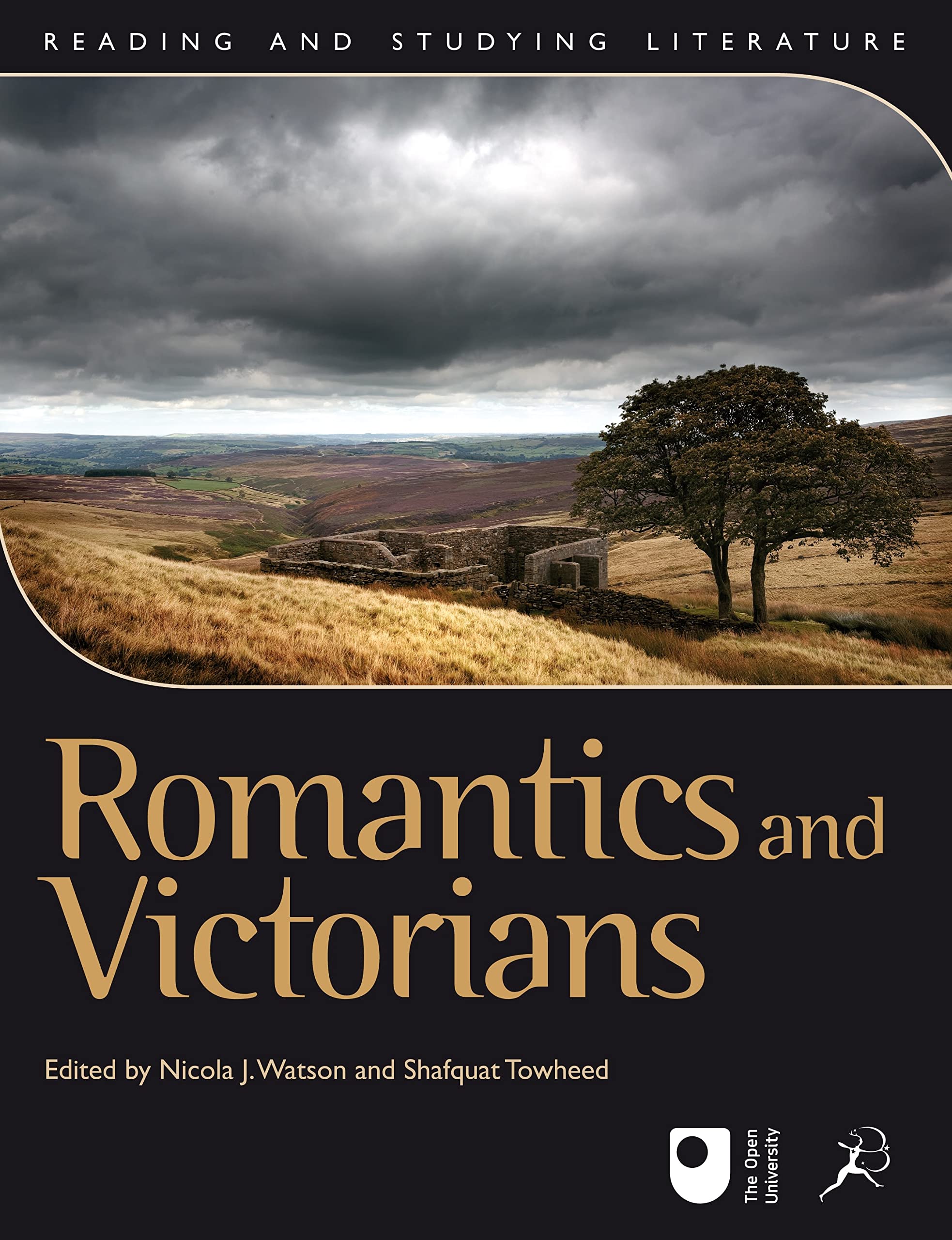 Romantics and Victorians (Reading and Studying Literature),Used