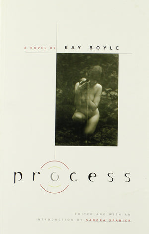 Process: A Novel,Used