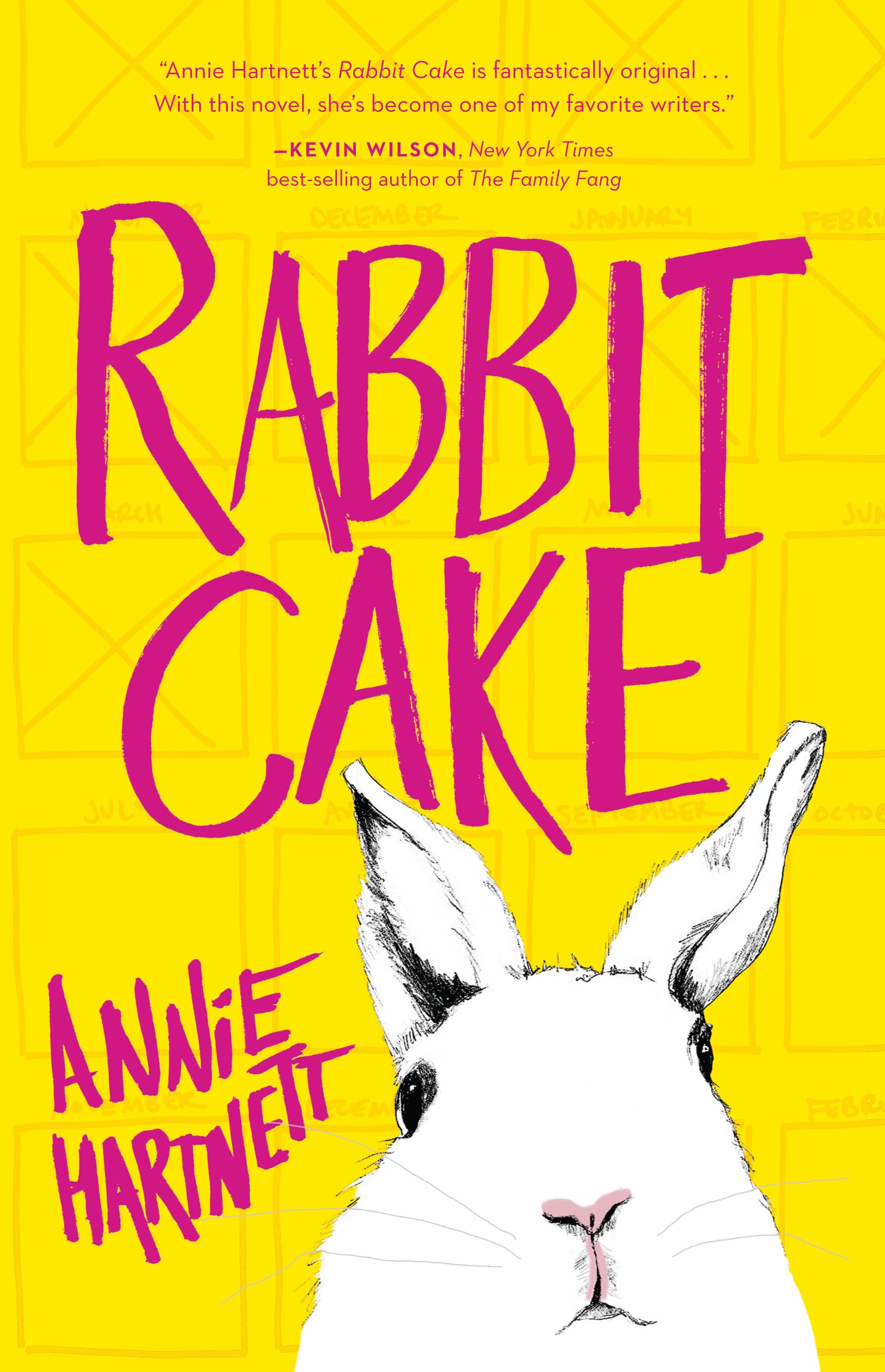 Rabbit Cake (Thorndike Press Large Print Peer Picks),Used