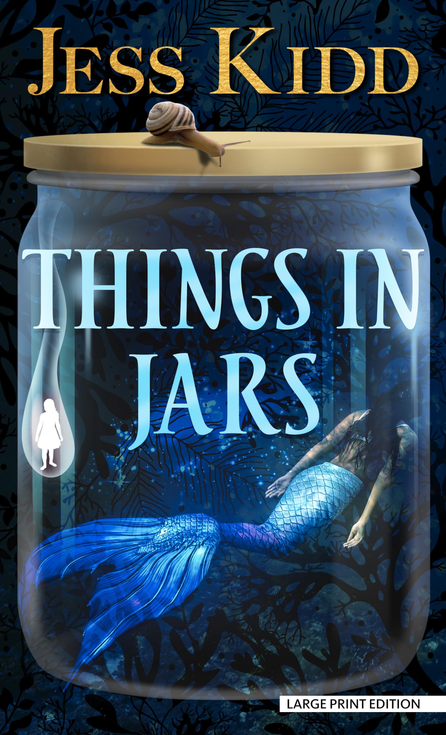 Things in Jars (Thorndike Press Large Print Reviewers Choice),Used