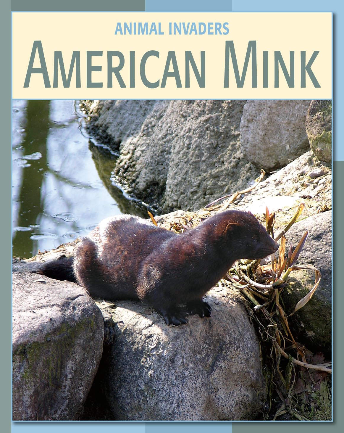 American Mink (21St Century Skills Library: Animal Invaders)