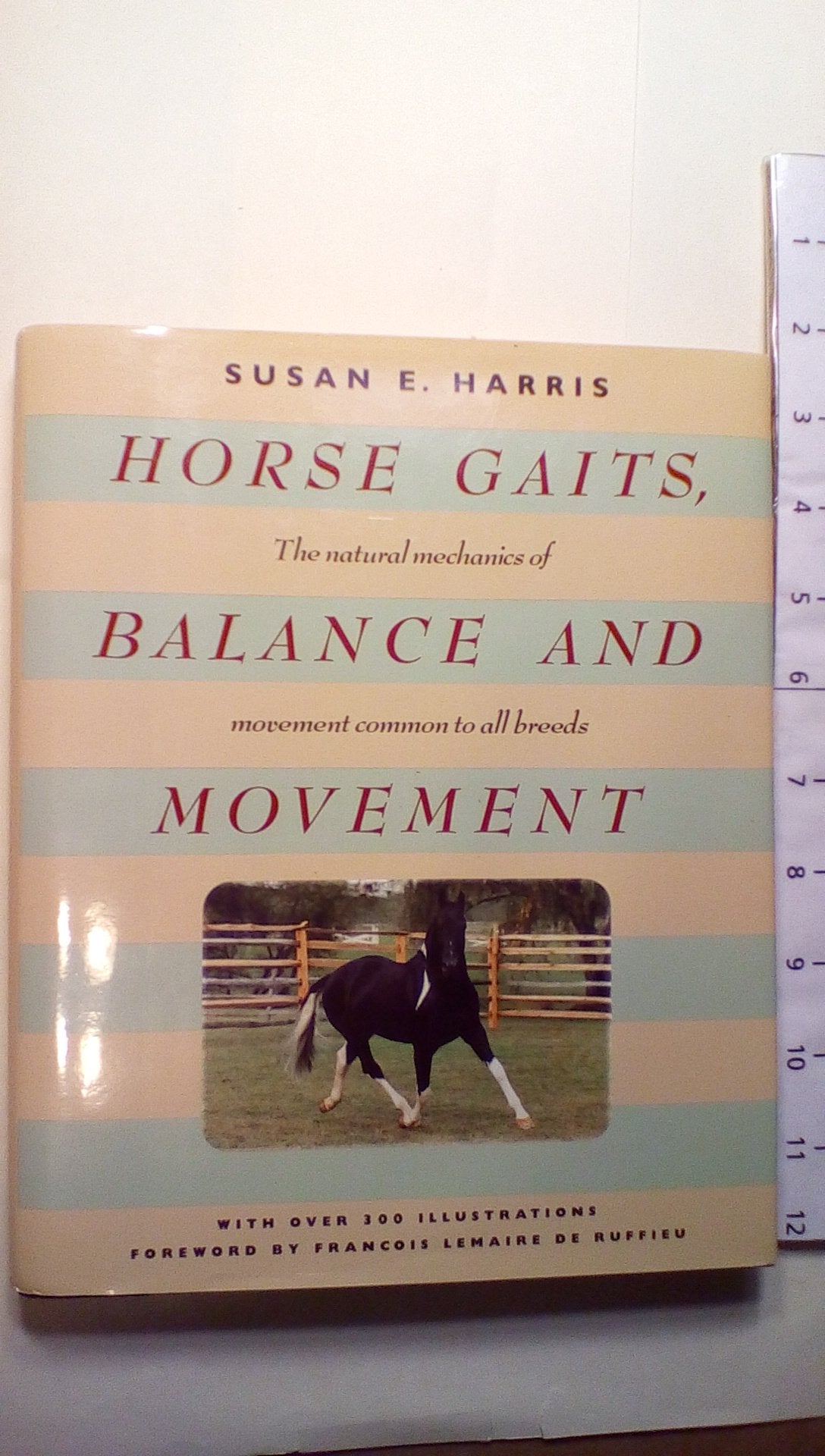 Horse Gaits, Balance and Movement,Used