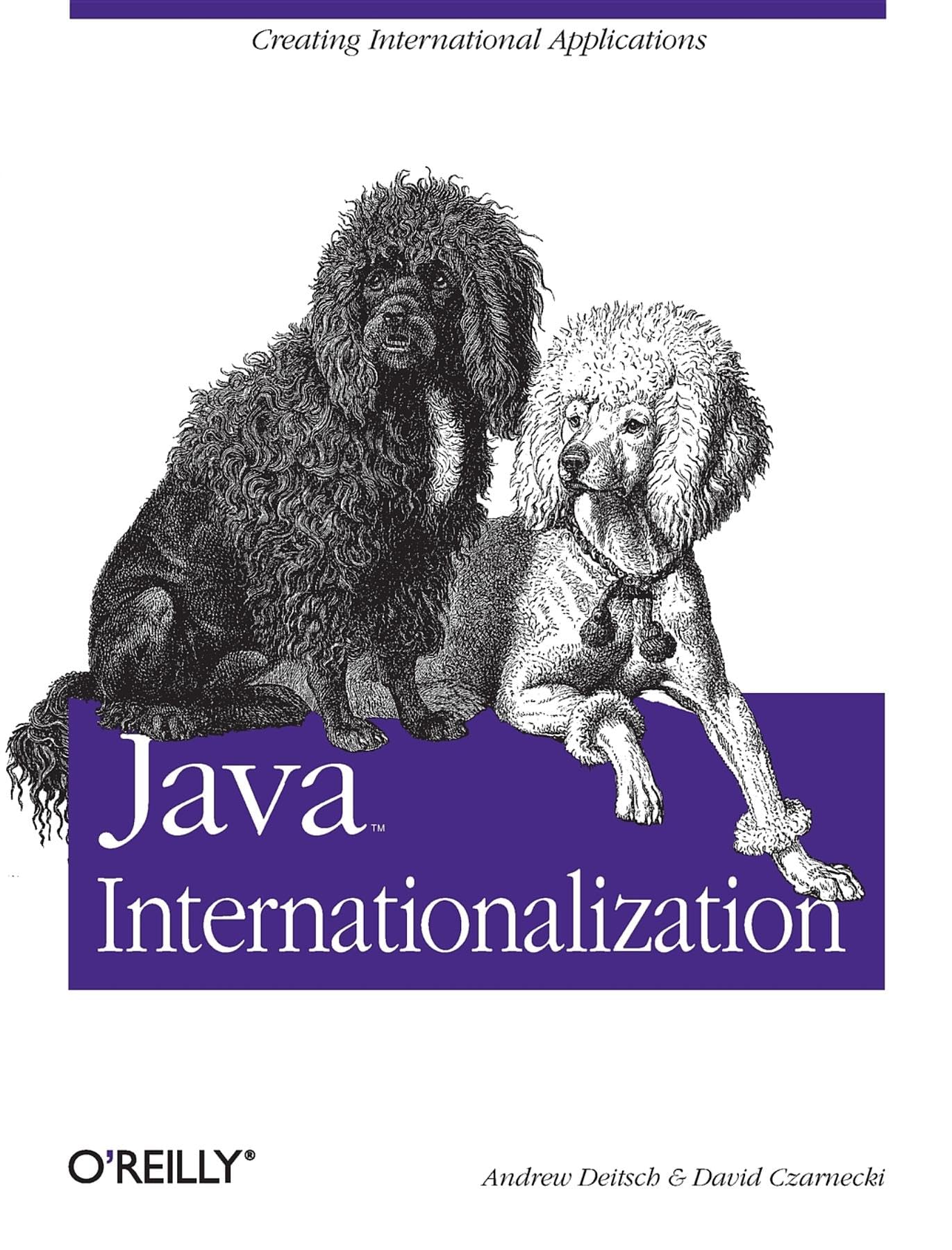 Java Internationalization: Creating International Applications,Used