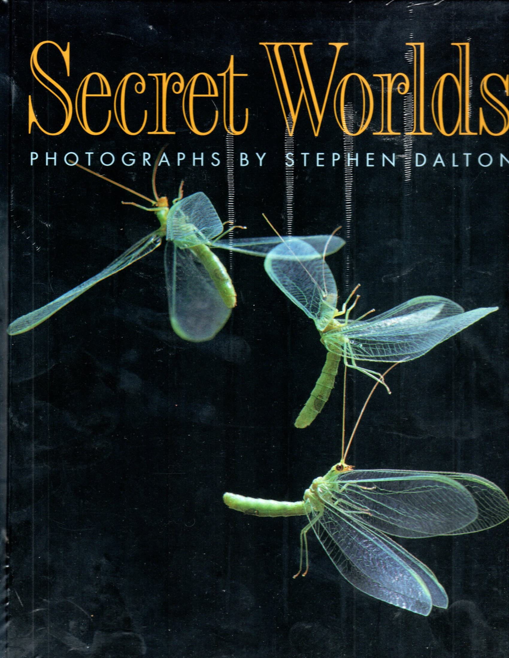 Secret Worlds,Used