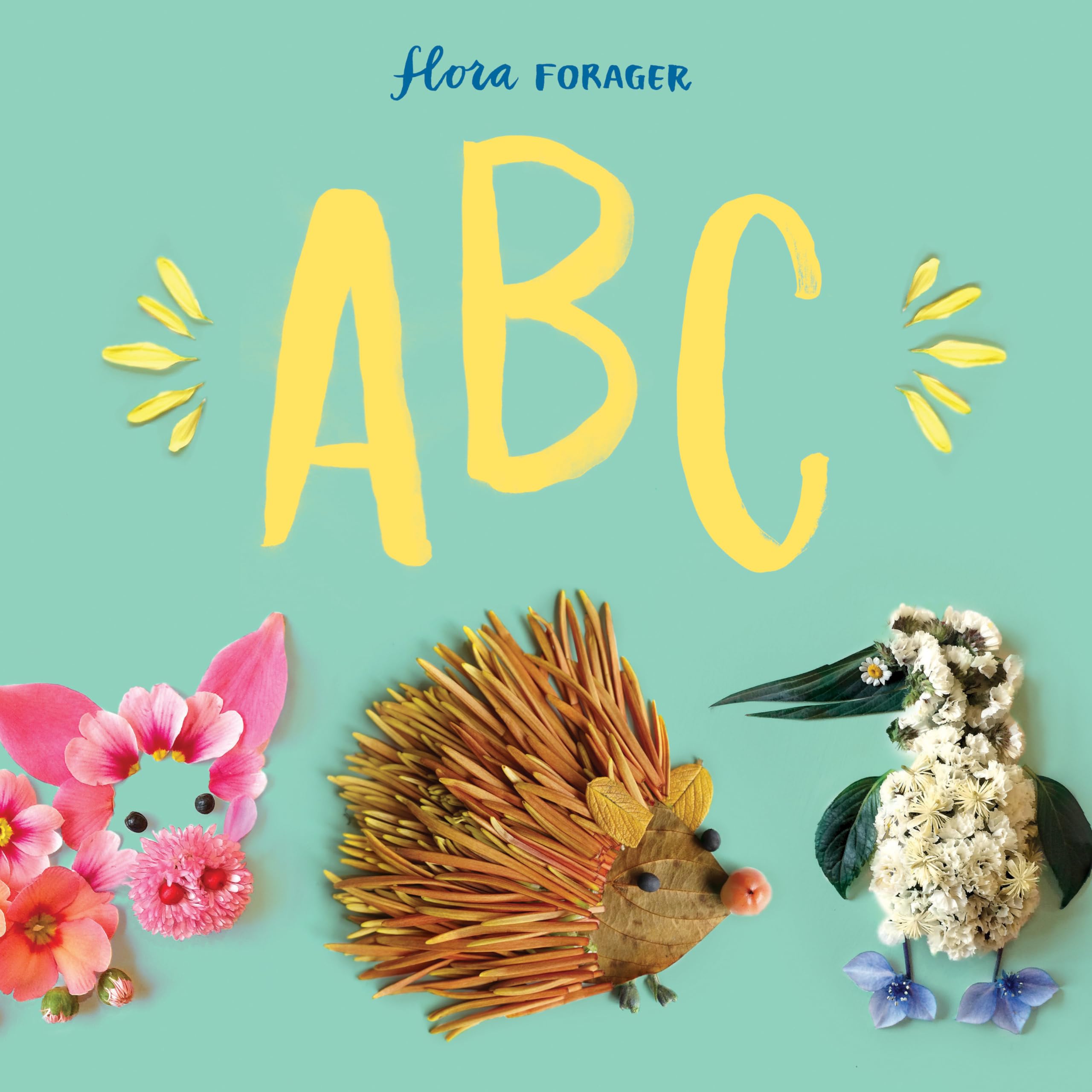 Flora Forager ABC,Used